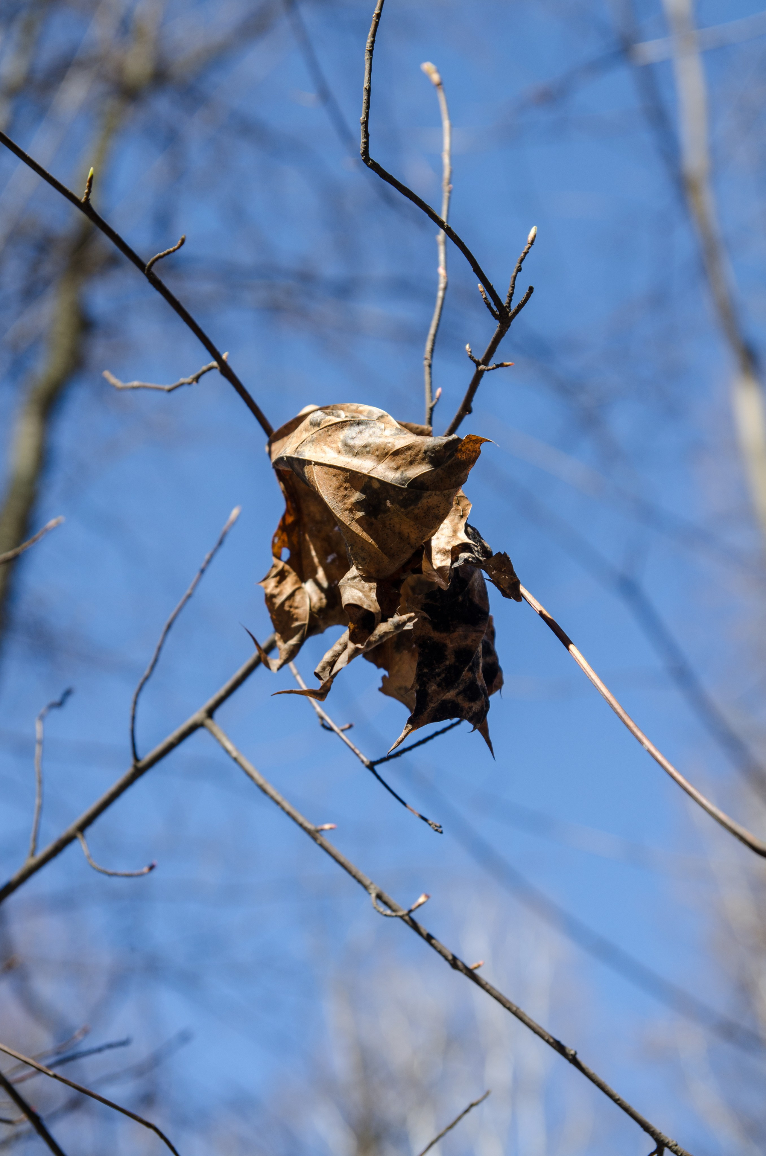 Интересное рядом. Фото, видео, монтаж