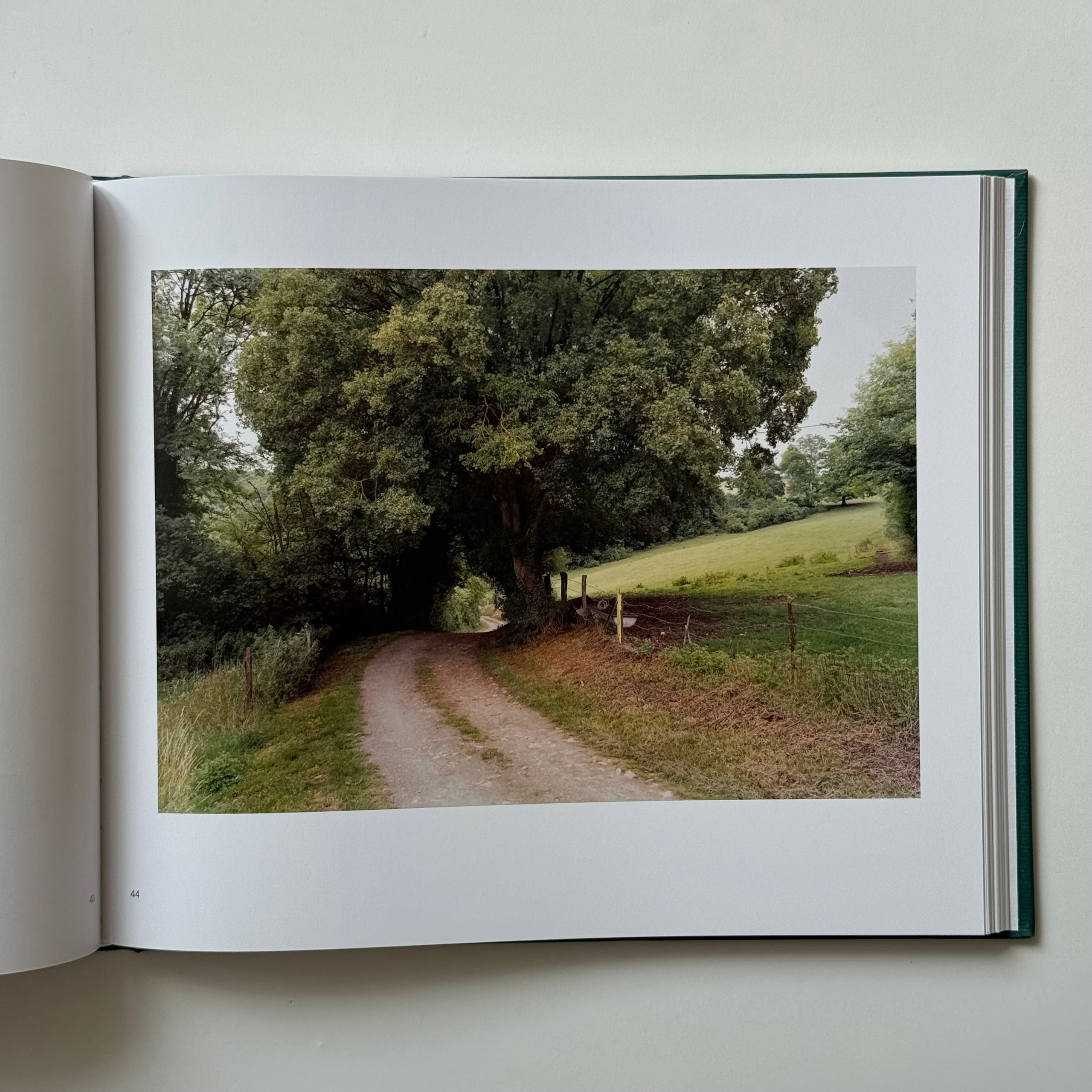 Фотокнижная библиотека Инны Шиловской. Фотограф и исследователь фотографии из Санкт-Петербурга Елизавета Веприцкая