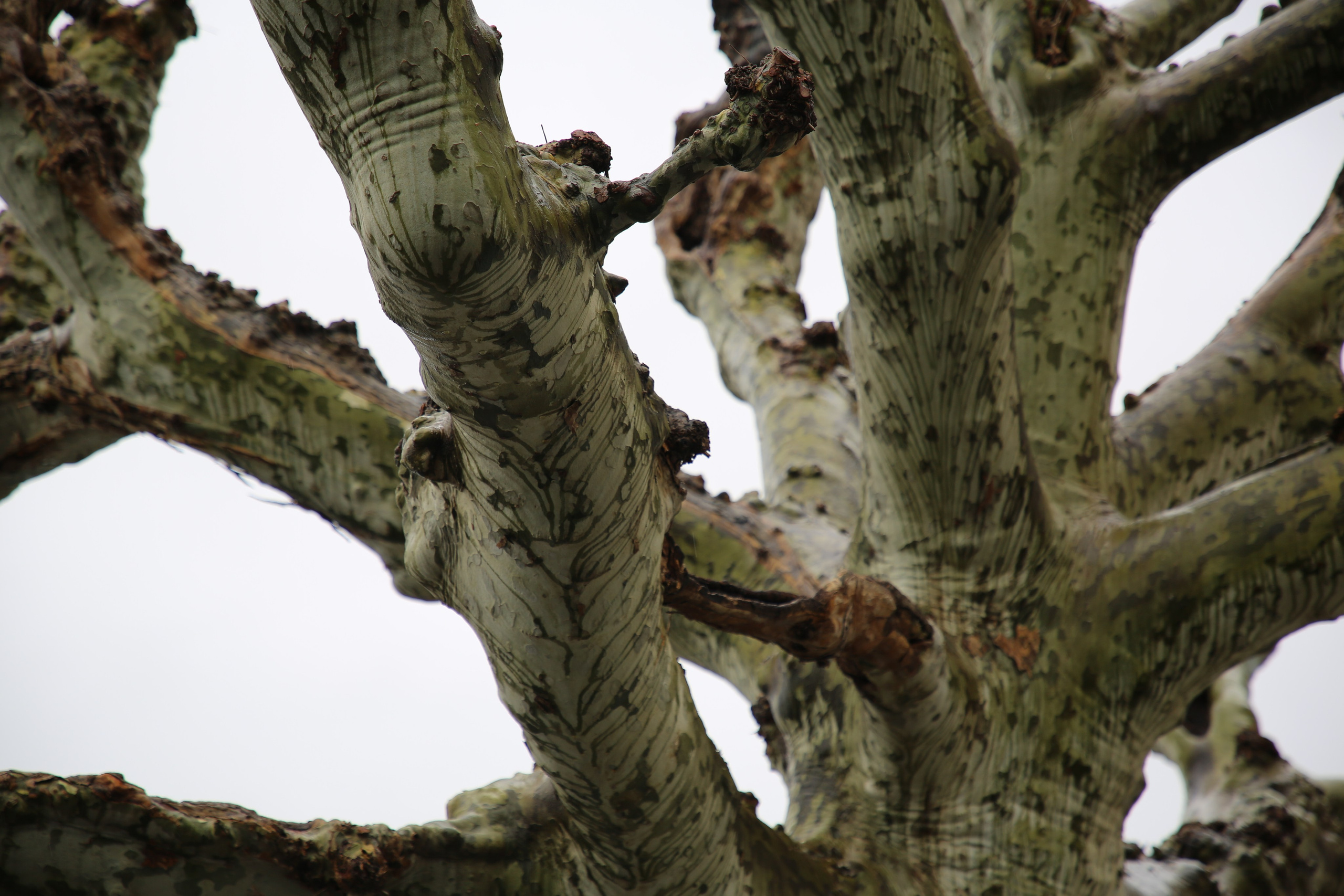Geneva, Switzerland. Andrey Filippov Photographer