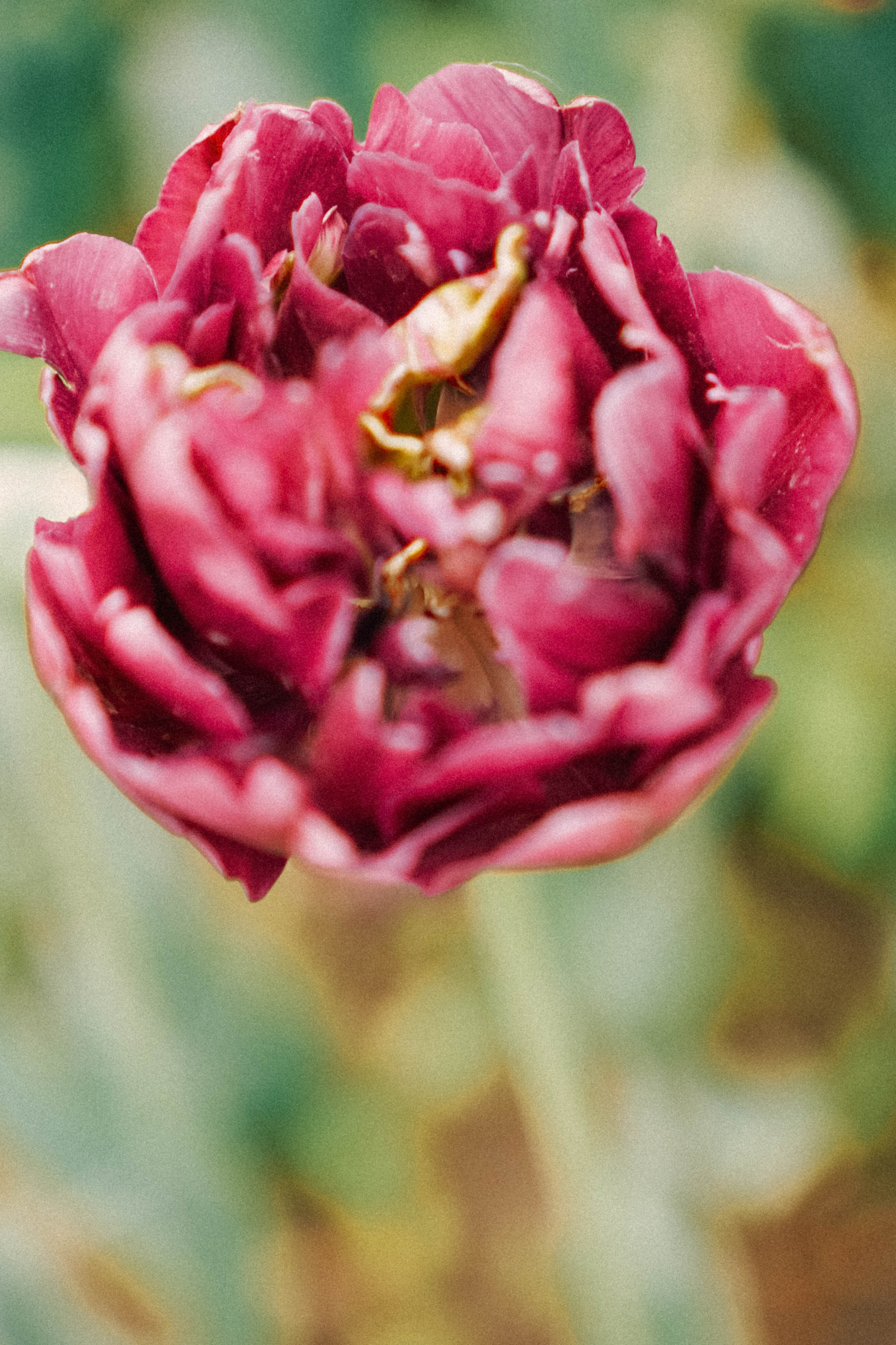 КИСЛОВОДСК. Профессиональный фотограф, Санкт-Петербург — Виктория Богомолова