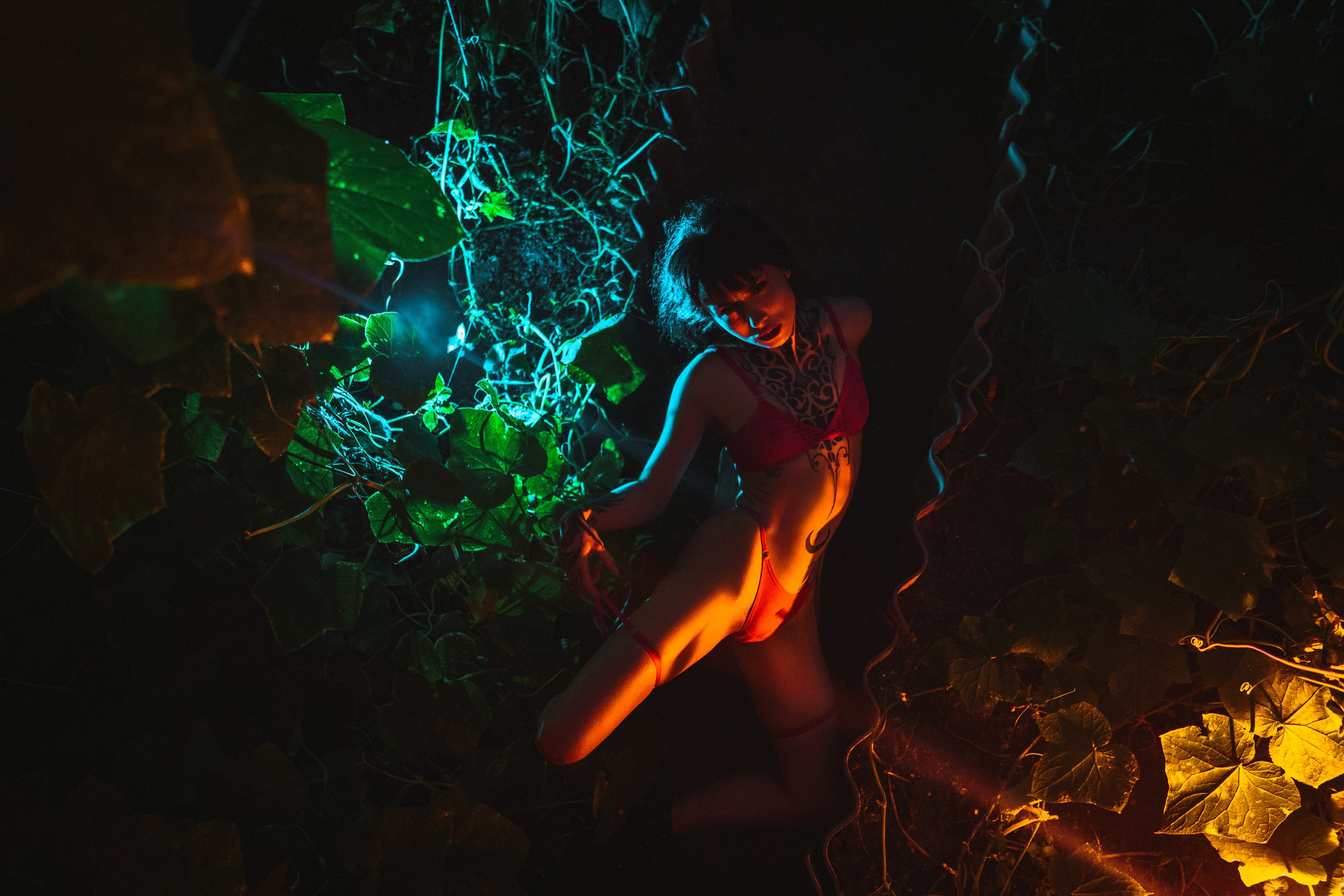 FLOWER OF LIFE. Sergey.kuzichev