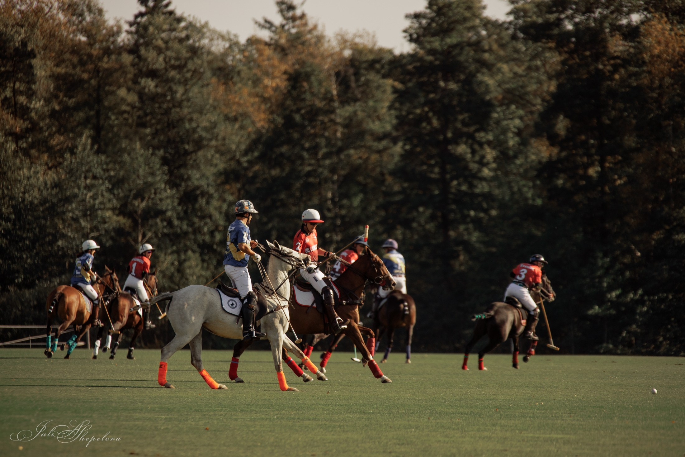 Осенний кубок по конному поло. Детская Конная фотография в Москве Юлия Шепелева