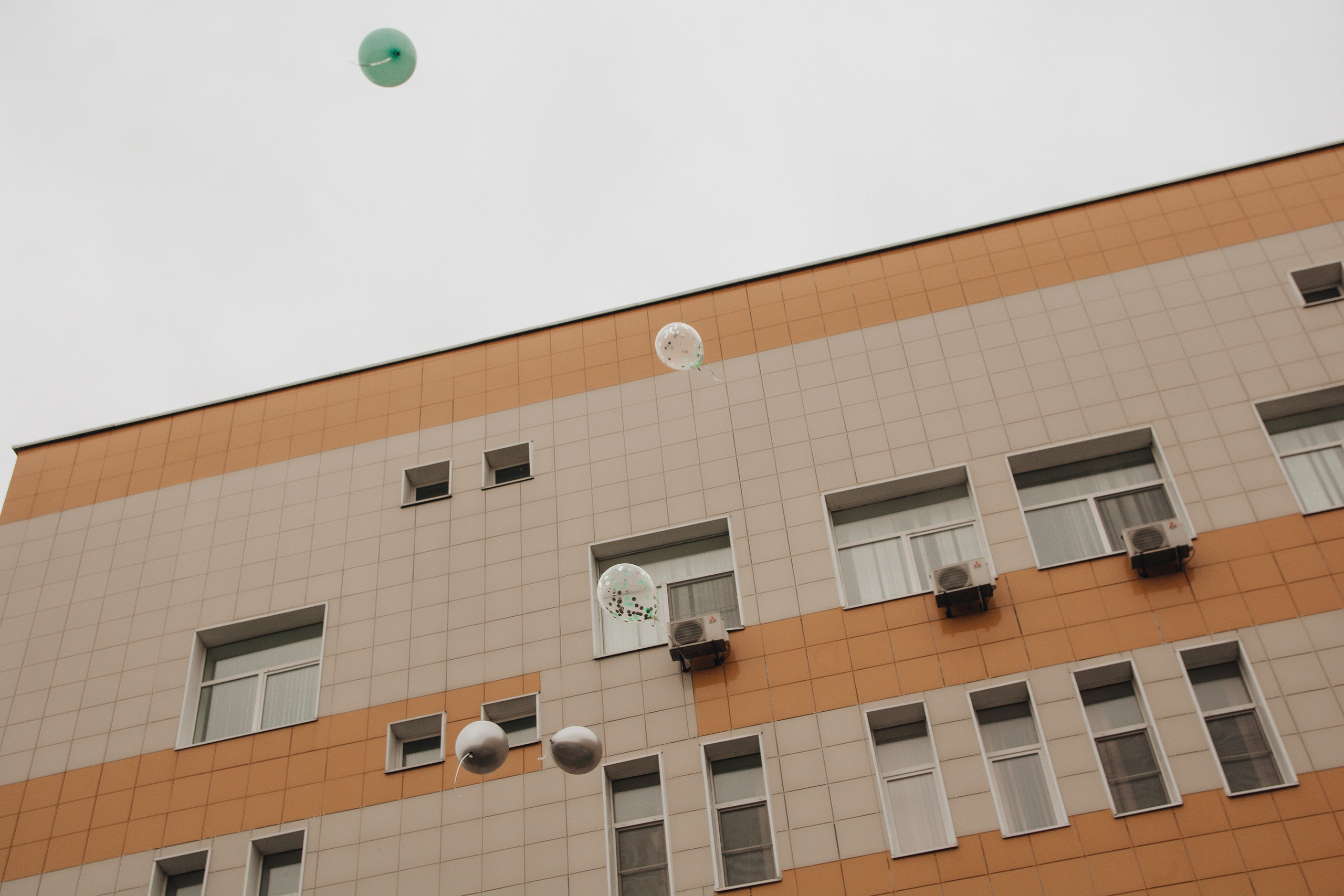 Выписка Александра. Свадебный и семейный фотограф Пушкин Царское Село СПБ Питер Санкт-Петербург и Рязань Ольга Козлова