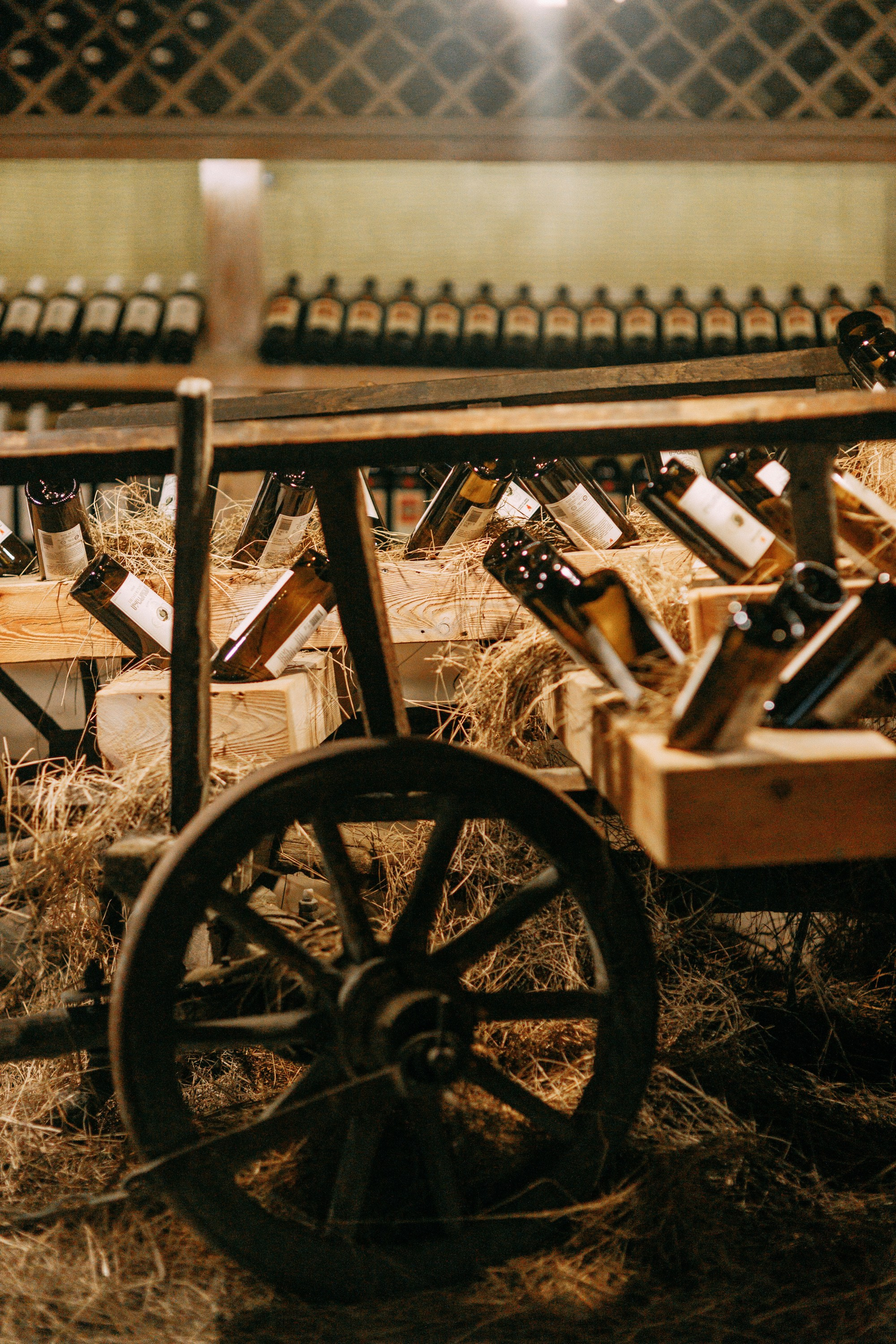 Олег и Даша