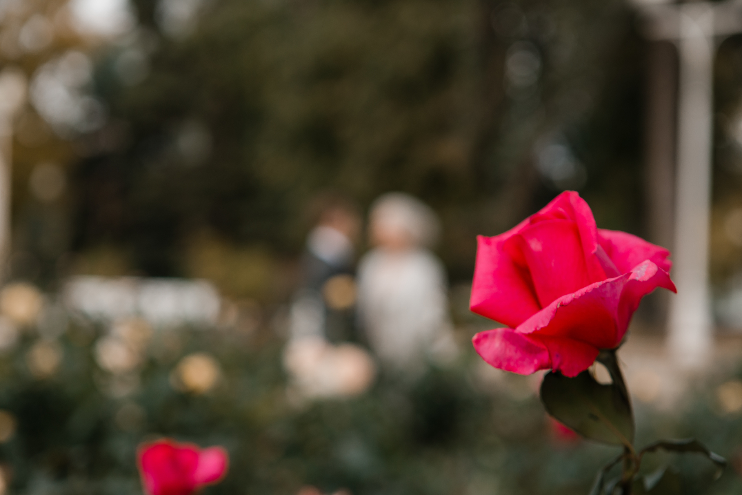 Свадьба в Барвихе. Фотосессия в Барвихе. Загс в Барвихе. Подать заявление в Барвихе. Московский областной загс барвиха. Барвиха village загс