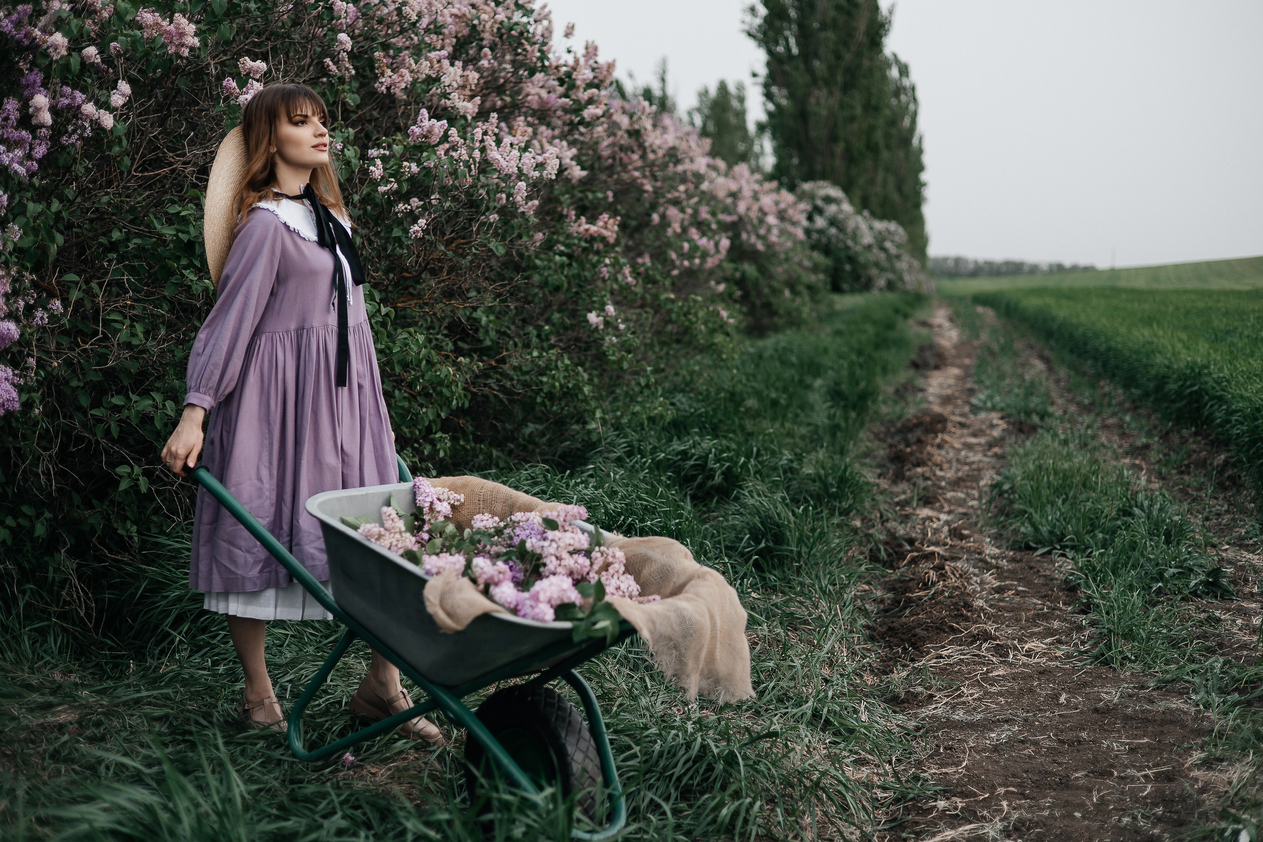Сирень. Фотограф в Севастополе — Евгения Бойко