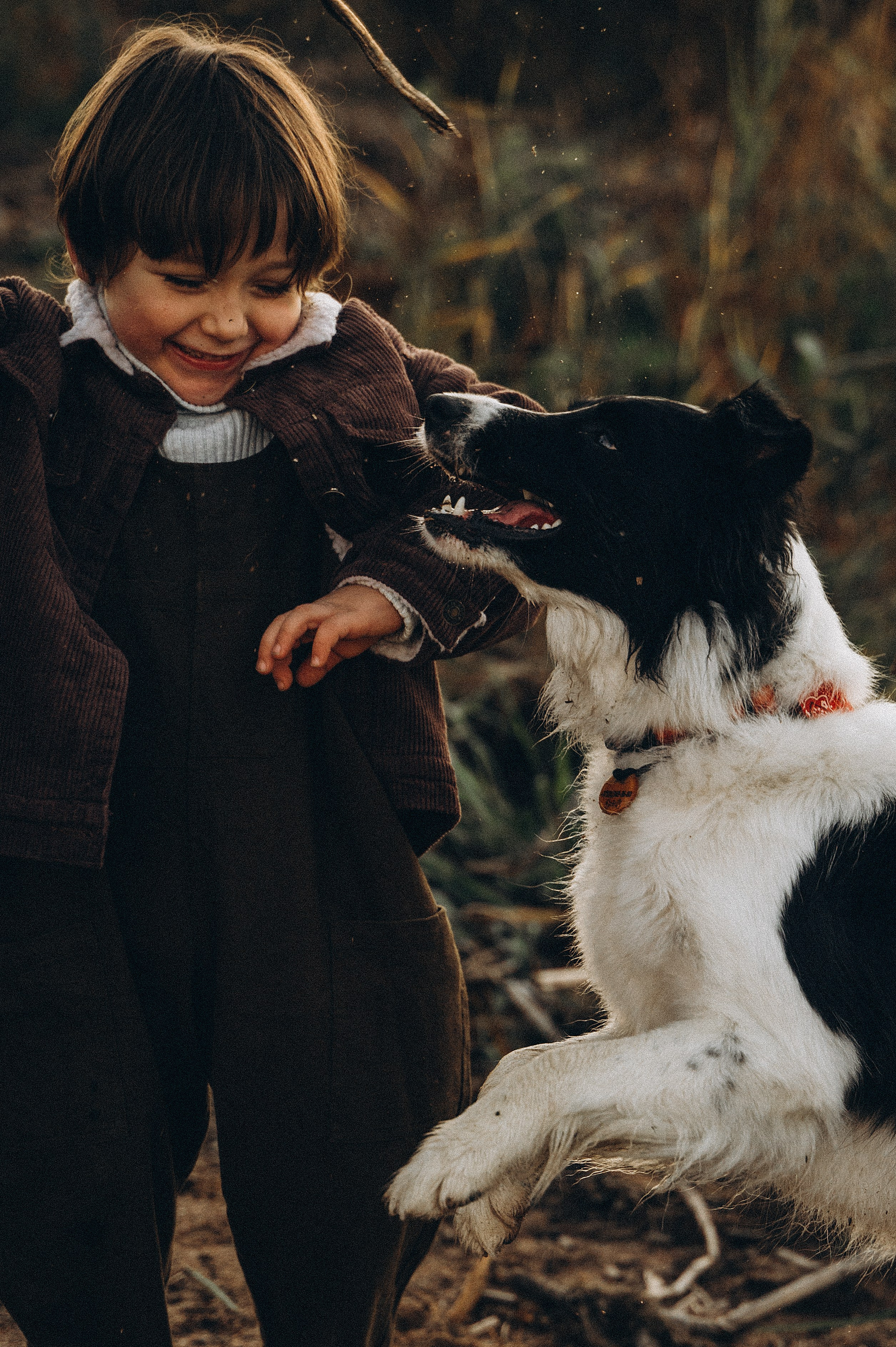 Осенний залив. Эльвира Жижикина. Семейный фотограф в Санкт-Петербурге