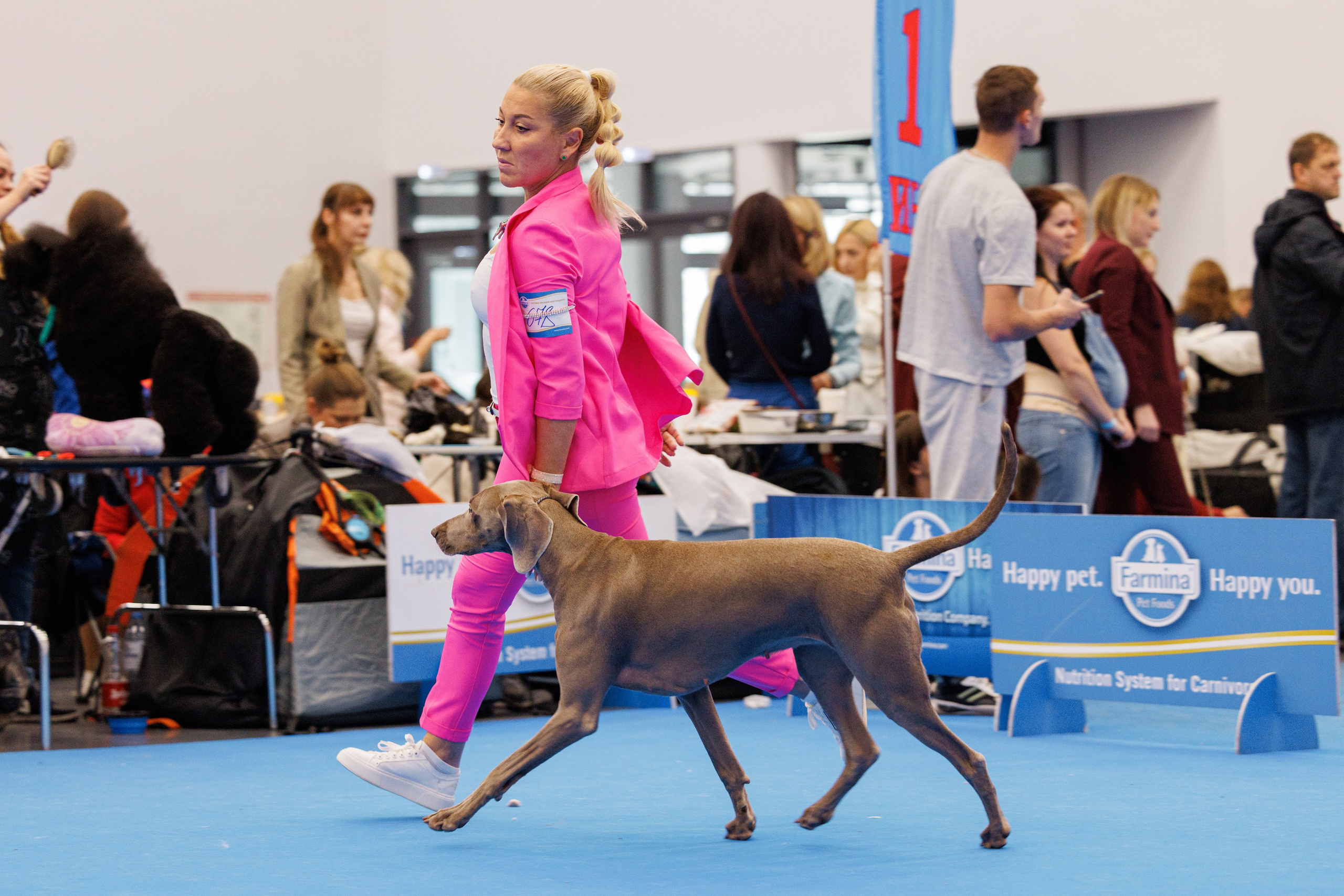 Нижний Новгород 21-22.10.2023. Фотограф-анималист Юлия Германика