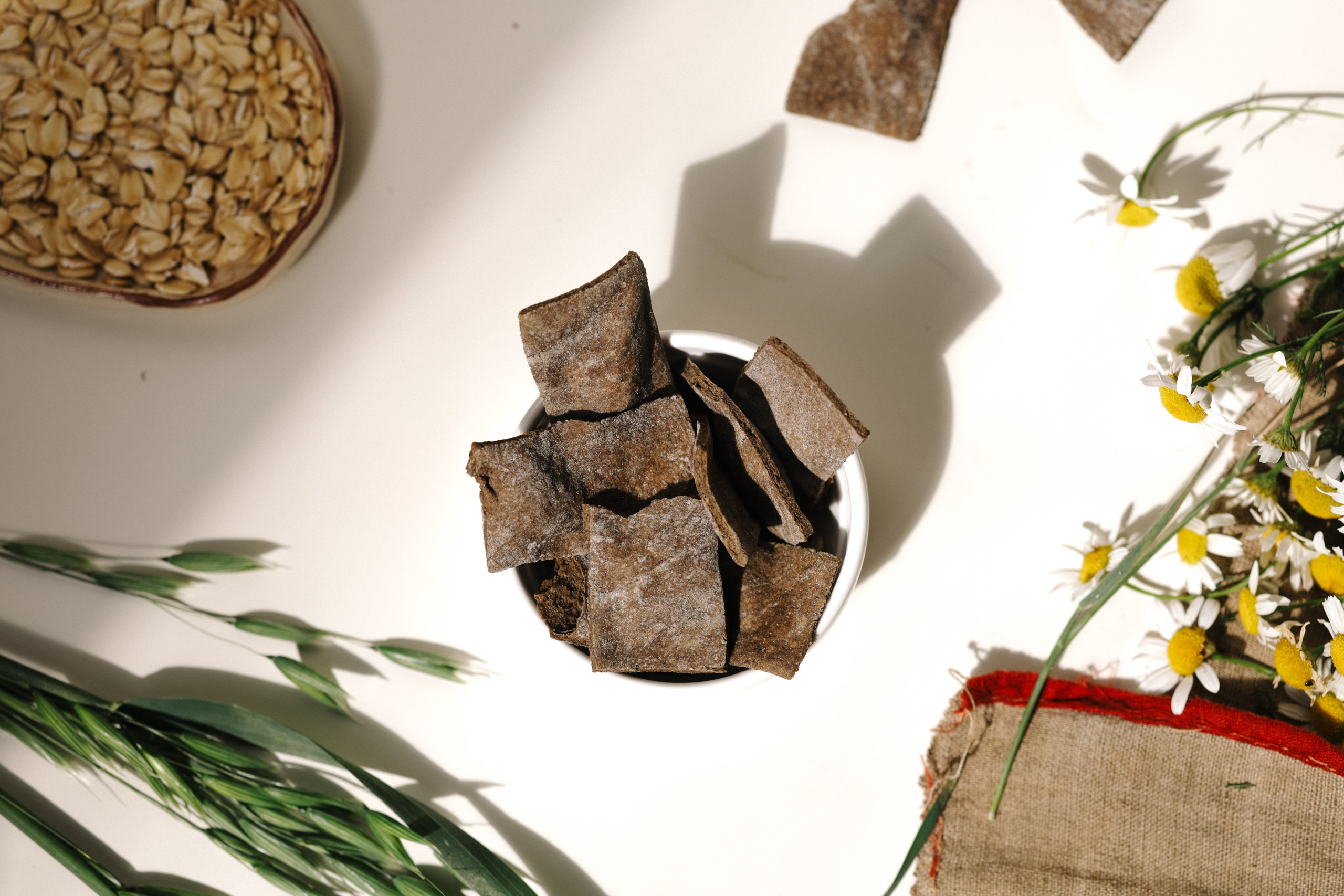 Корм для собак. Алёна Стерхова — Предметный и портретный фотограф. Ижевск