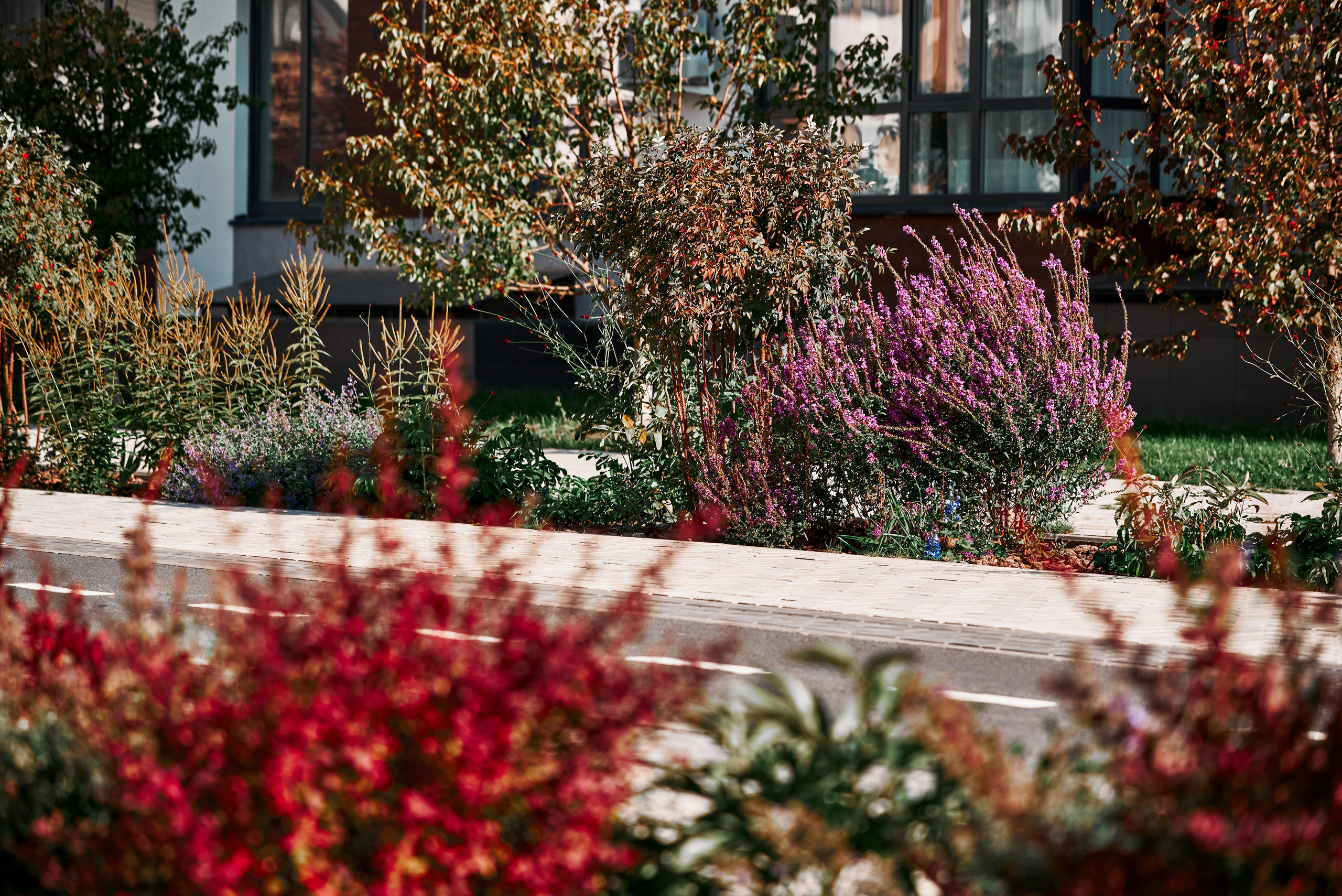 Ожогино. Снимаю всё, кроме похорон