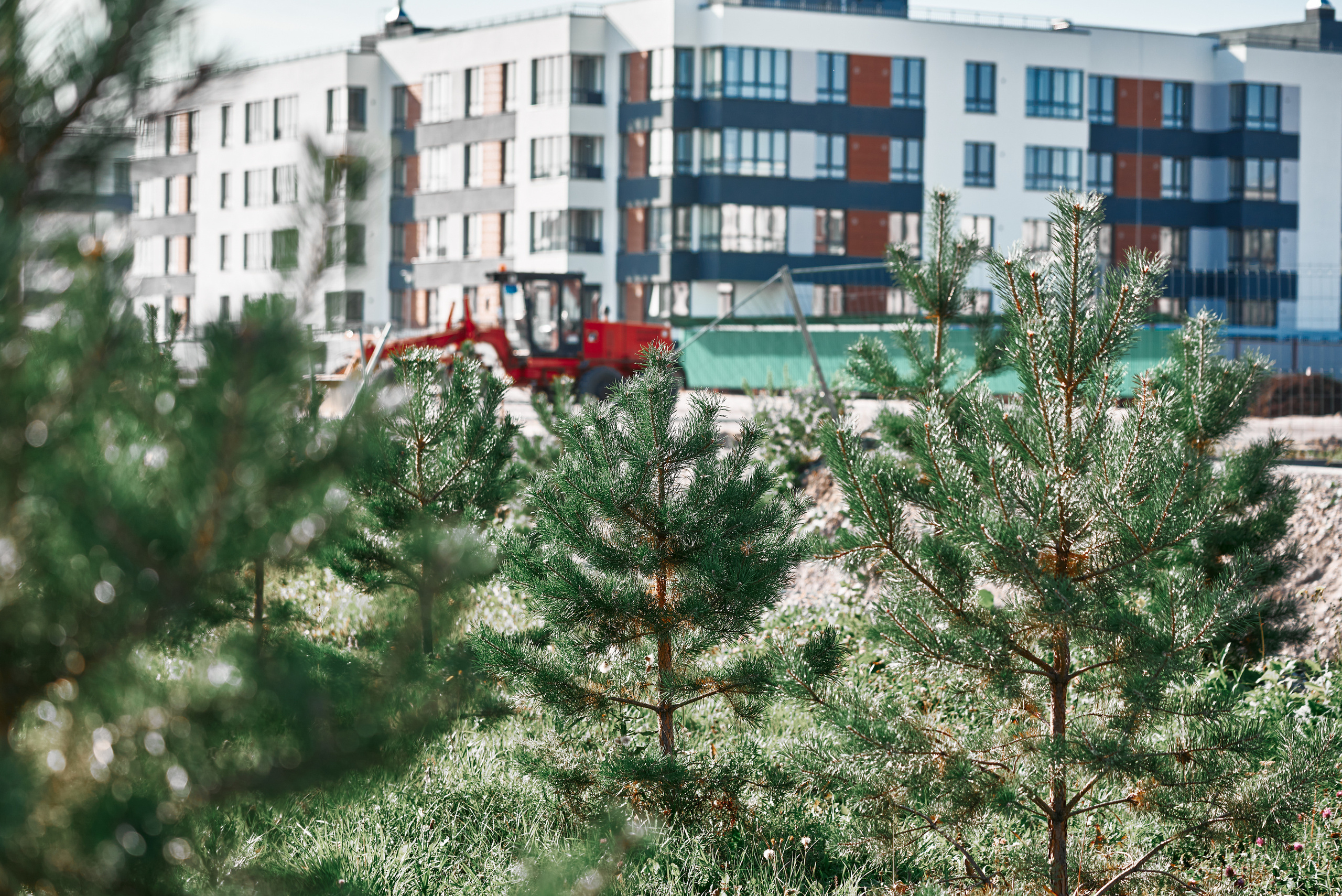 Ожогино. Снимаю всё, кроме похорон