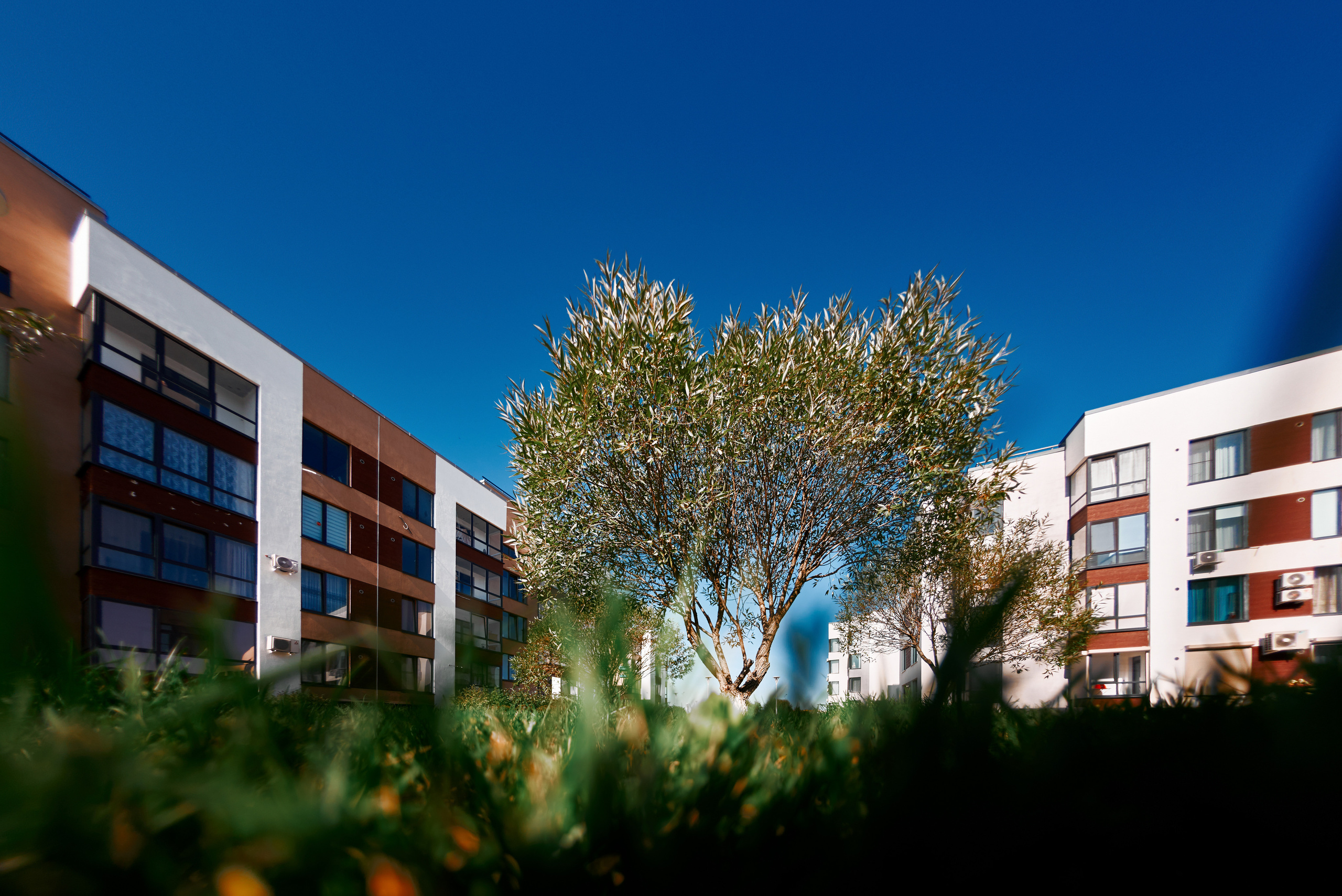 Ожогино. Снимаю всё, кроме похорон