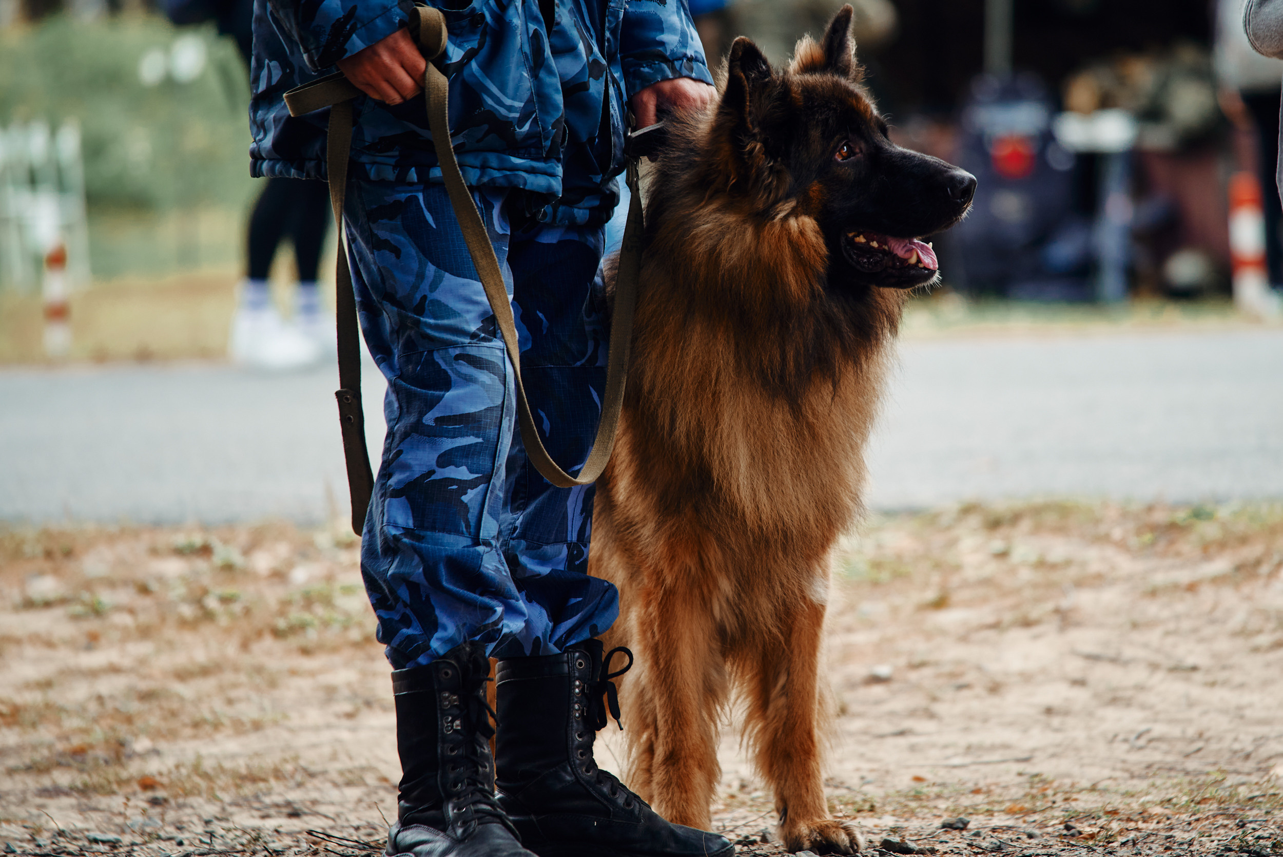Аванпост. Снимаю всё, кроме похорон