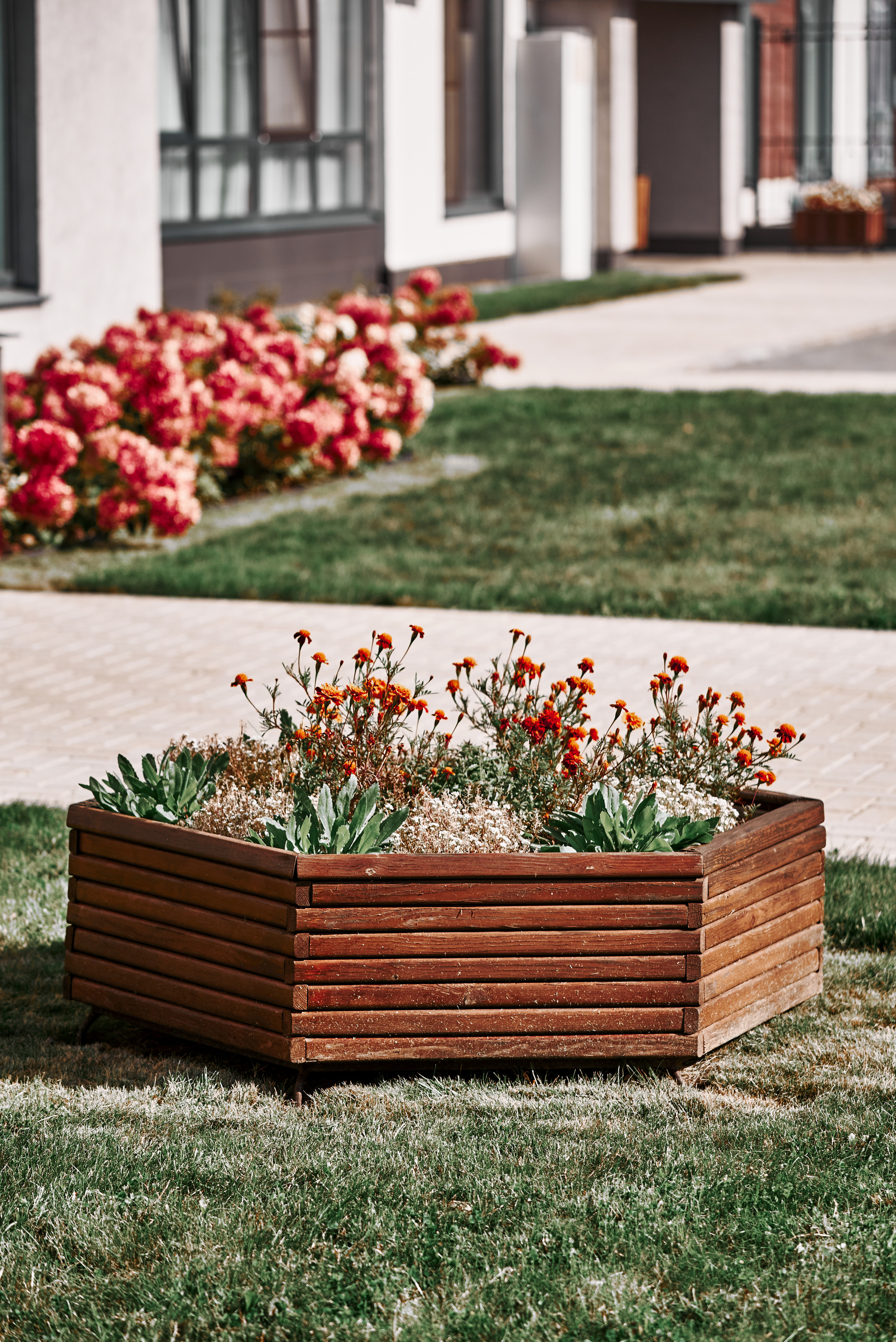 Ожогино. Снимаю всё, кроме похорон