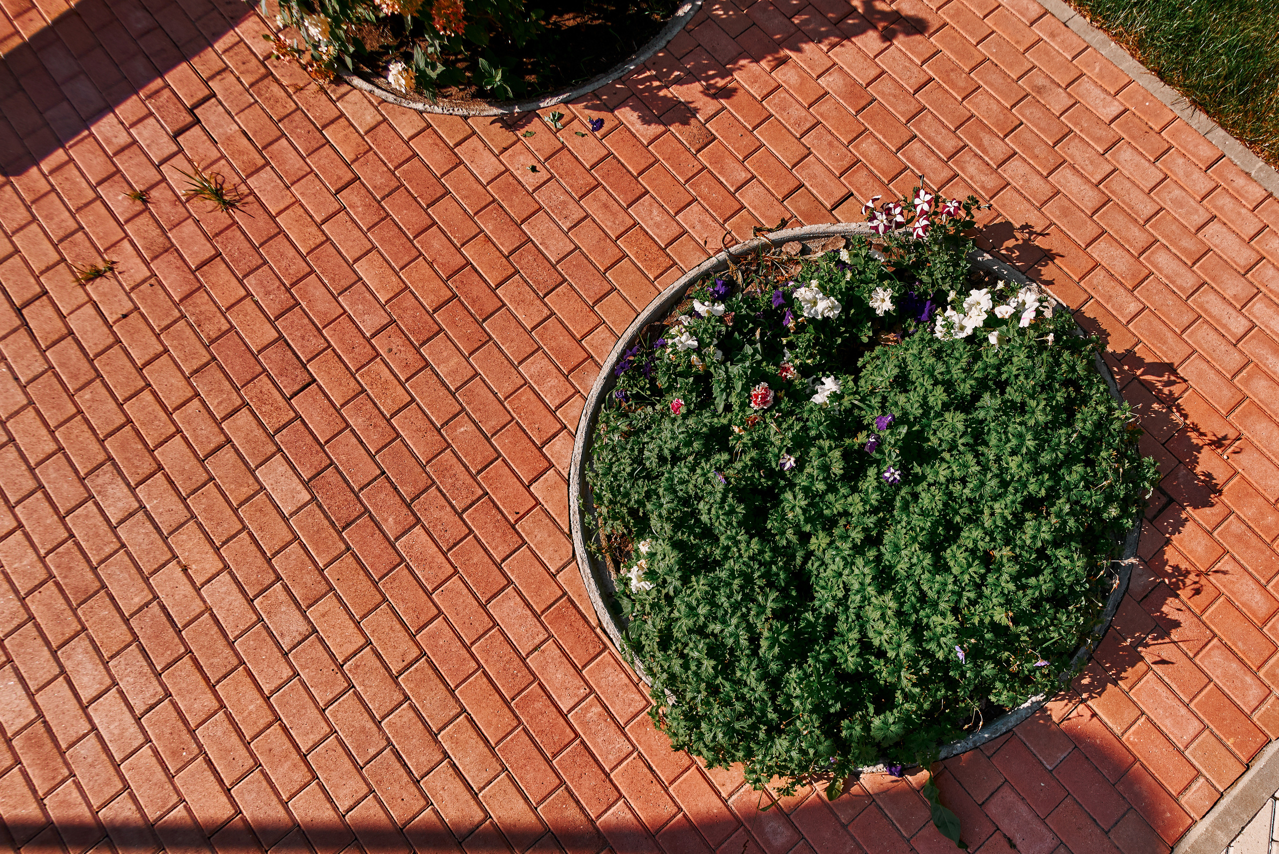 Ожогино. Снимаю всё, кроме похорон