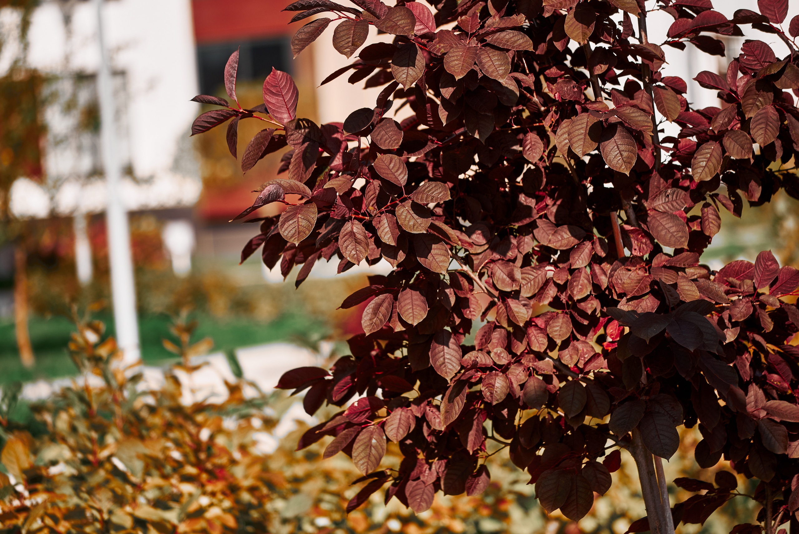 Ожогино. Снимаю всё, кроме похорон