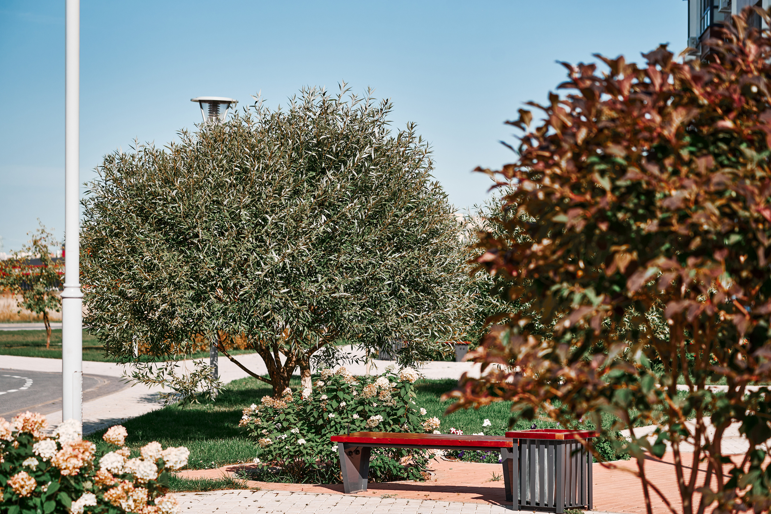 Ожогино. Снимаю всё, кроме похорон