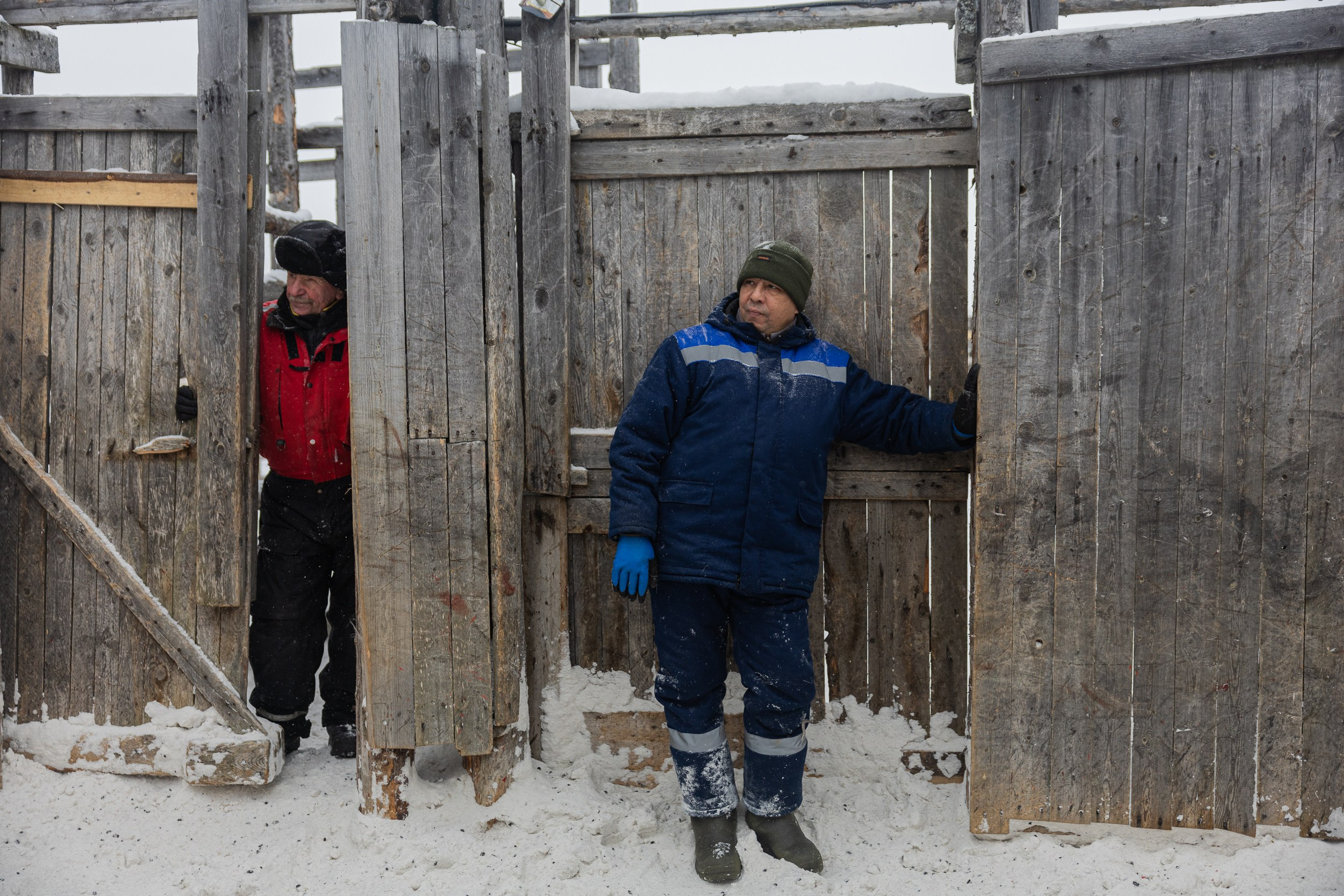 Ловозеро. Оленеводы. Алиса Северная. Визуальные исследования. Пейзажная и документальная фотография