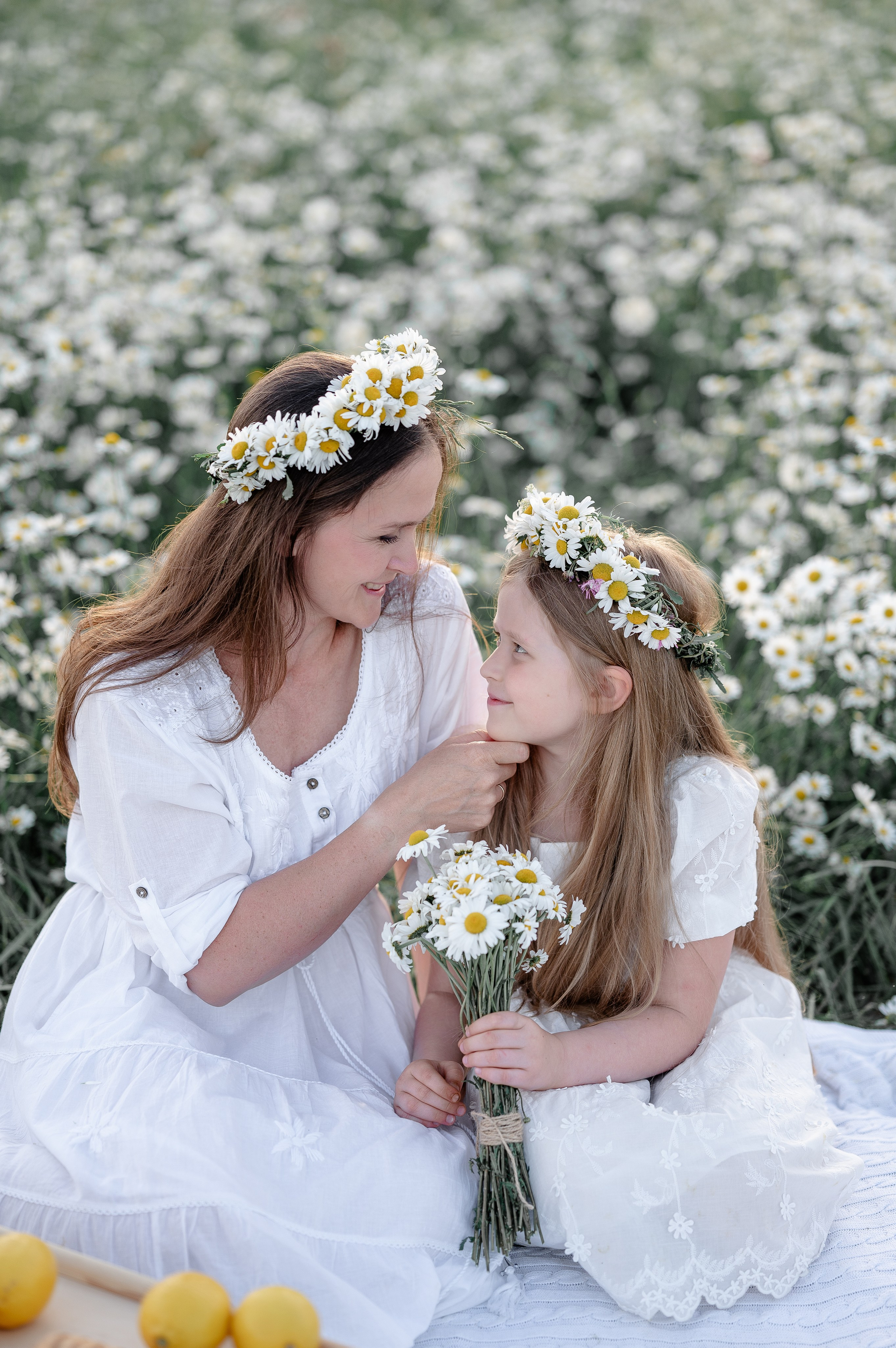 Поле ромашек. Фотограф Москва Екатерина Постникова Индивидуальные и семейные съемки