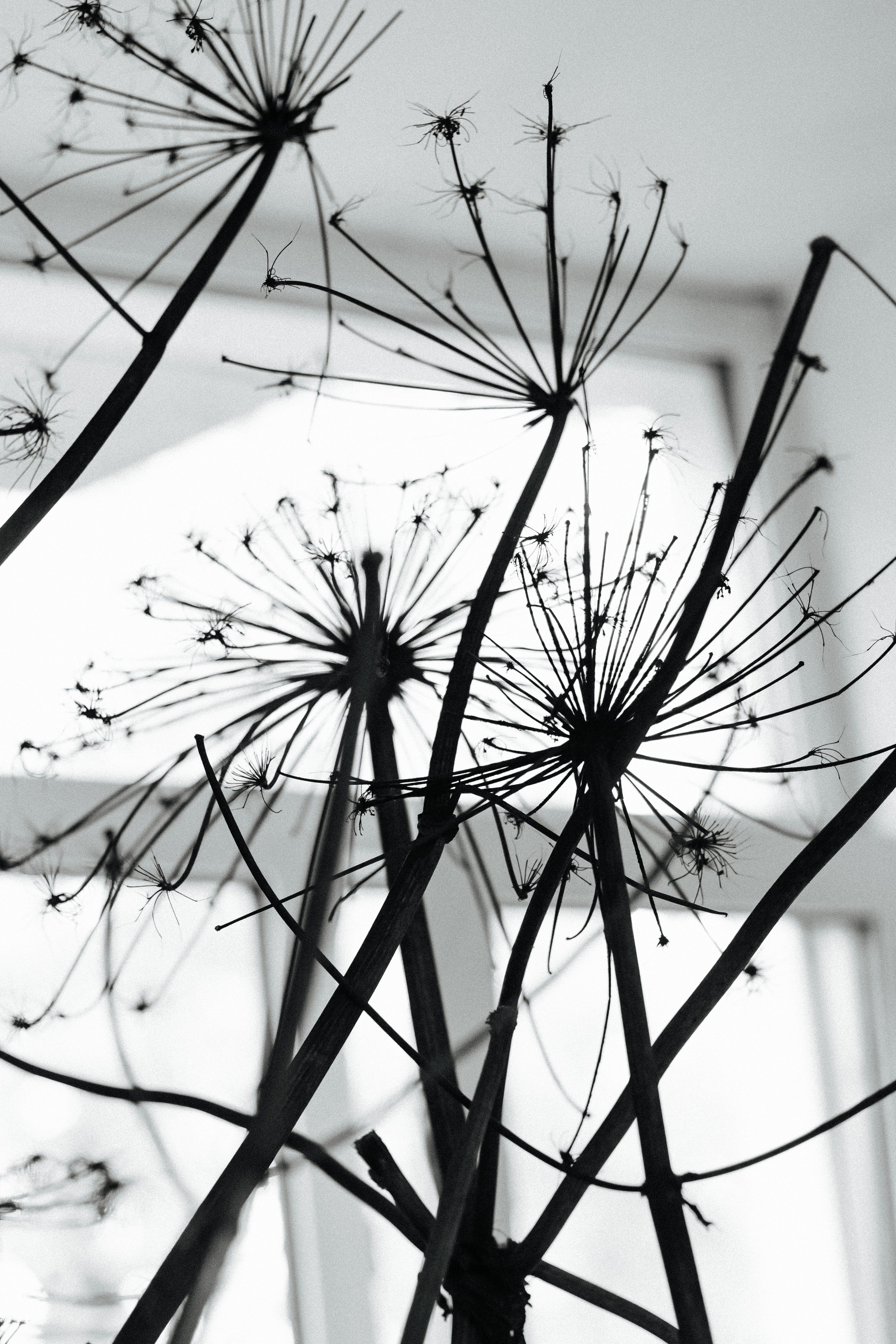 Корпоративы // Дни рождения. Коммерческий фотограф в Санкт-Петербурге (СПб) Екатерина Панчёха, Панчёшка