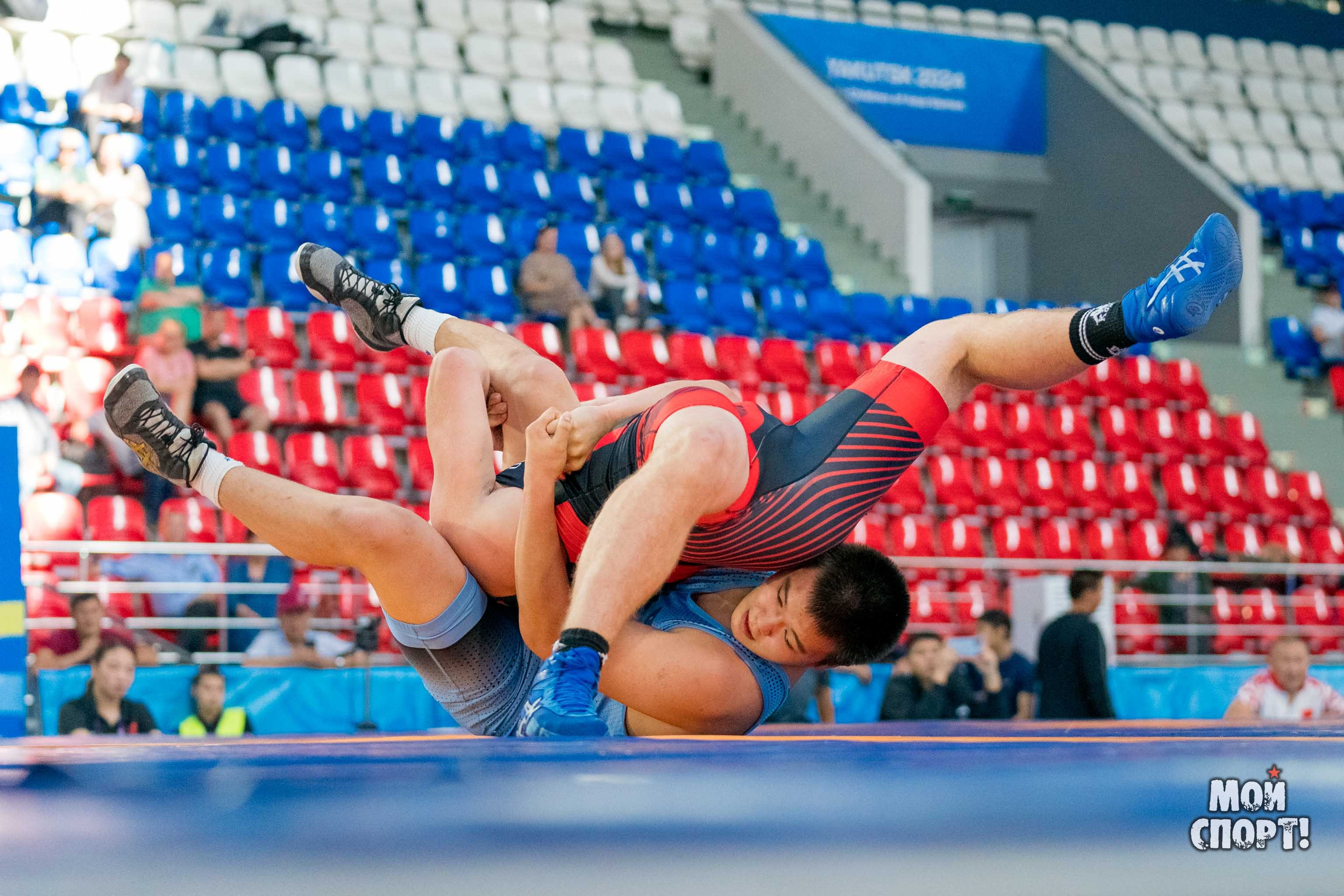 Соревнования по вольной борьбе в честь П. П. Пинигина. Студия «Мой Спорт!» — все о спорте в Якутии