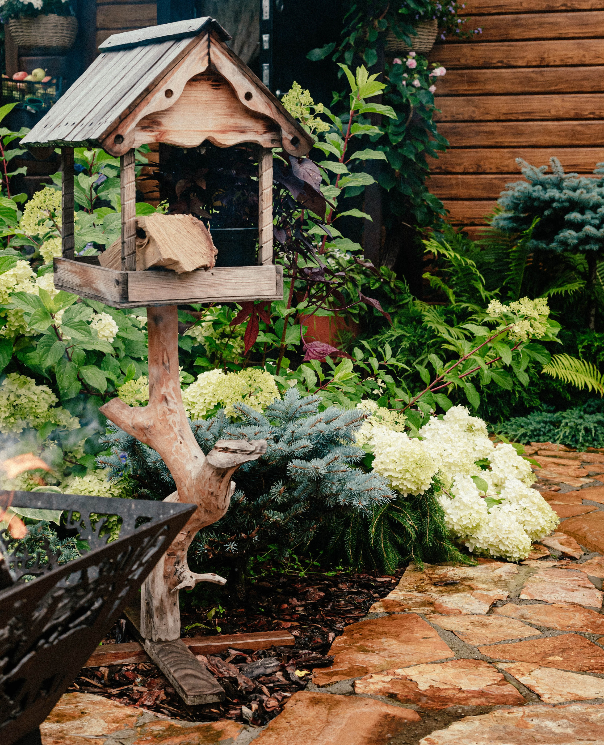 Лесное царство Оксаны. Свадебный и семейный фотограф в Новосибирске, Санкт-Петербурге, Москве