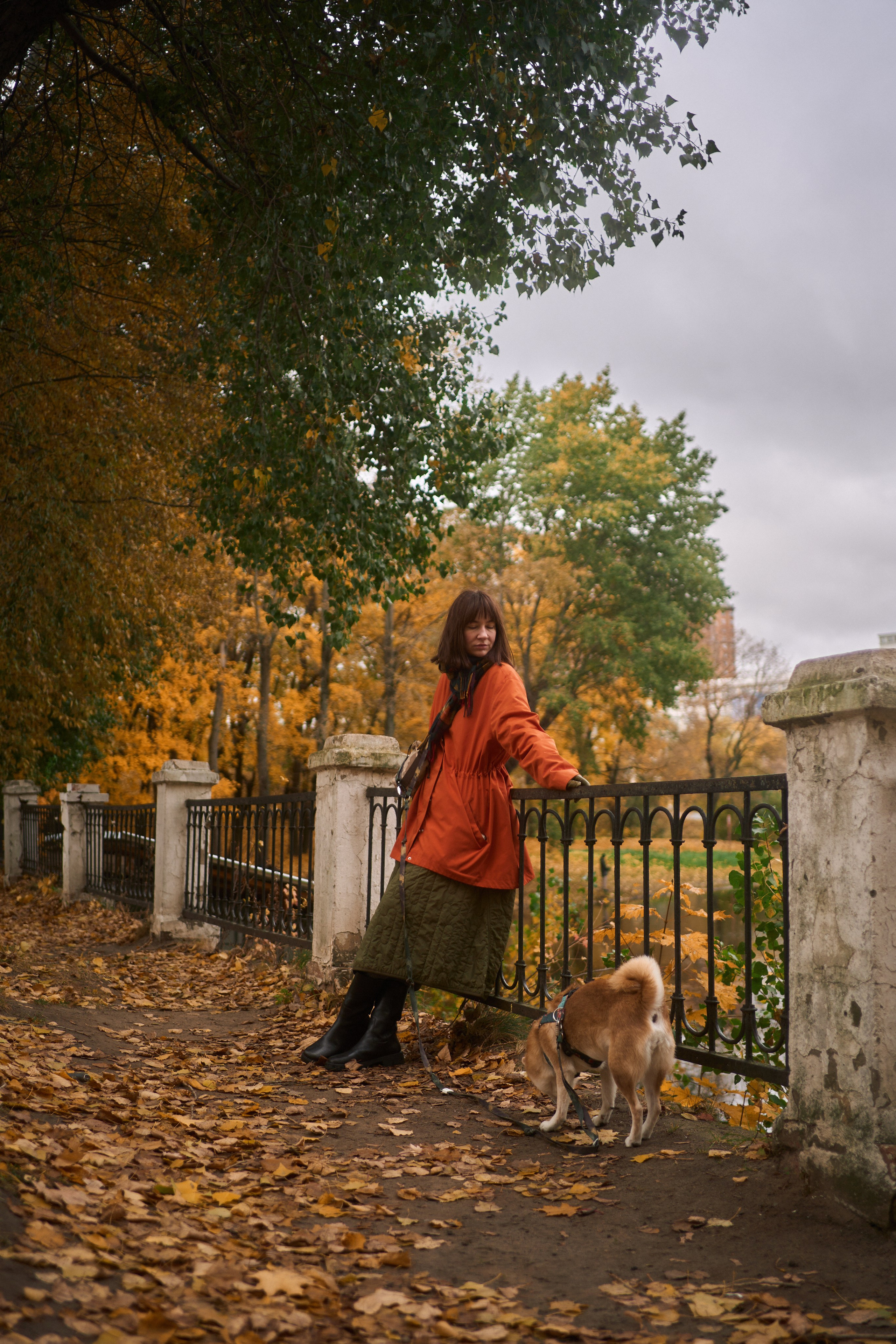 Осенние Уши. Фотограф анималист Москва Дарья