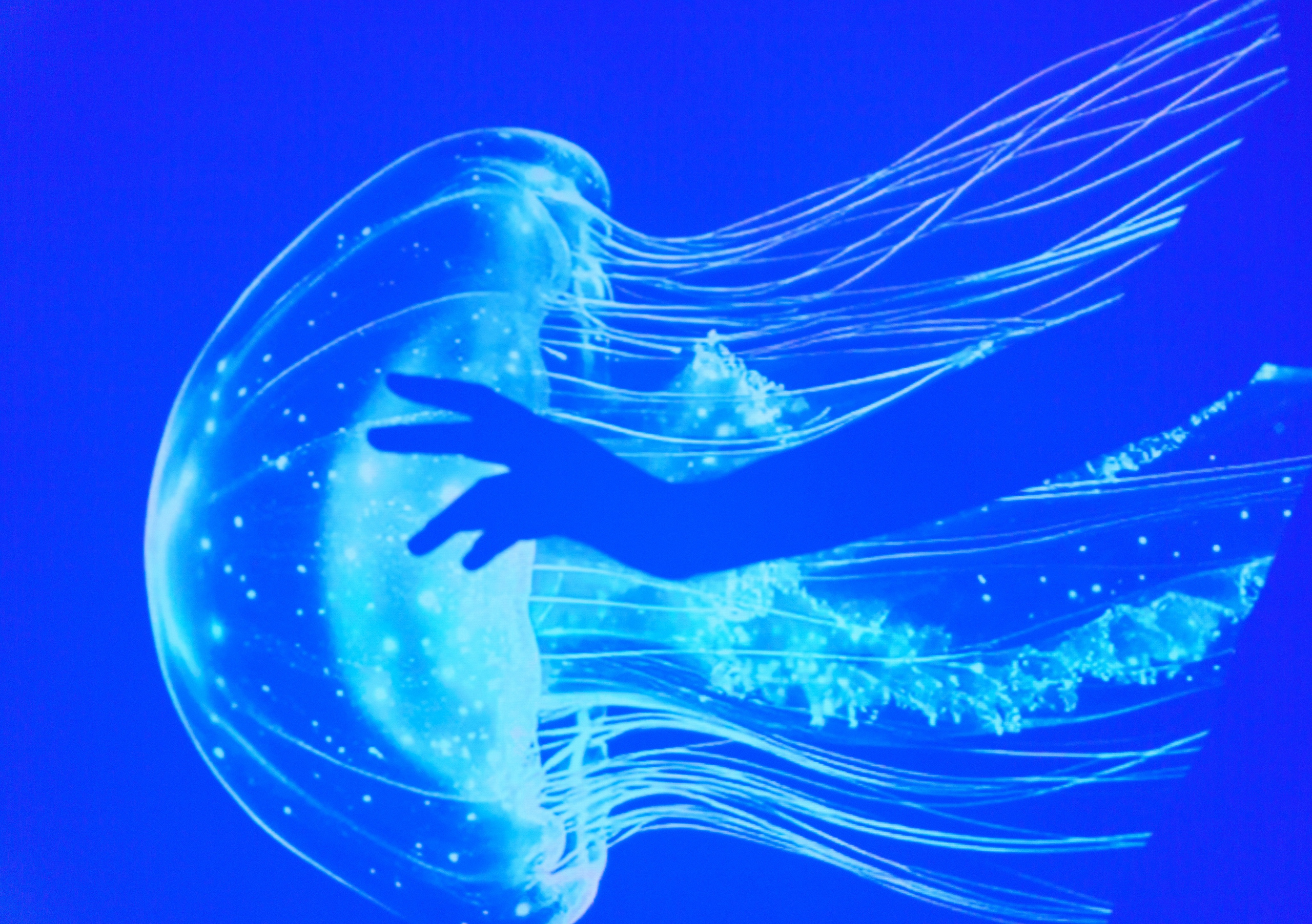 Арт и фешн. Главная