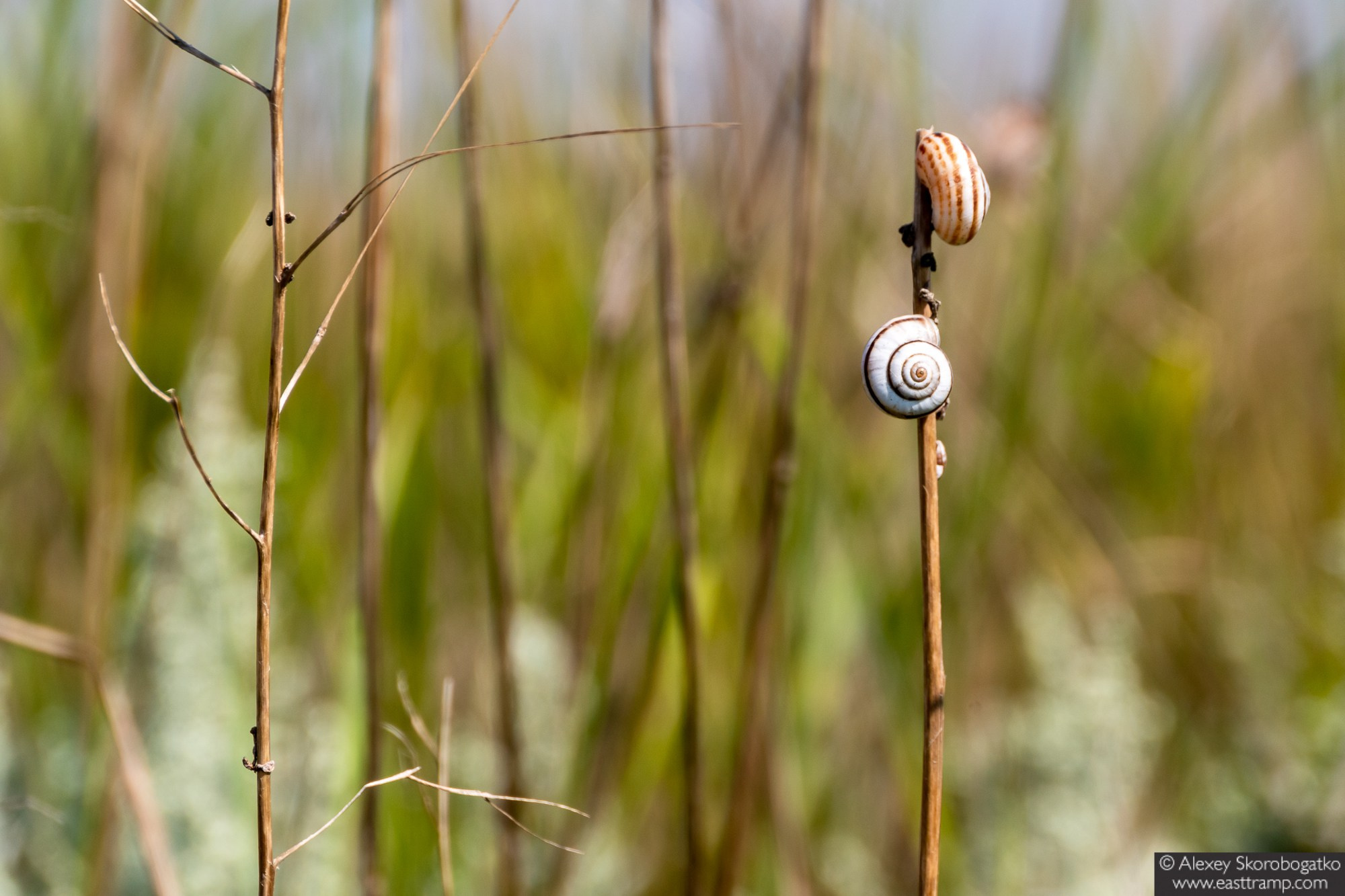 Археологические раскопки некрополя Кыз-Аул в Крыму. Фотограф Алексей Скоробогатько