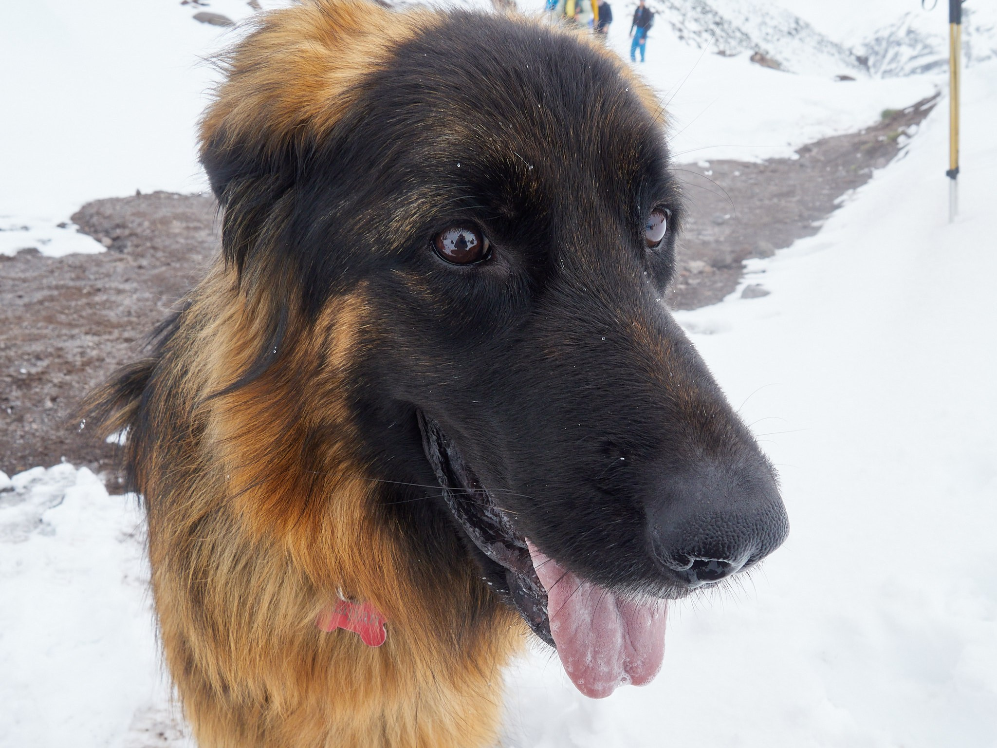 06.05 Отличная акклиматизационная прогулка. Горный, высотный Фотограф на Эльбрусе Георгий