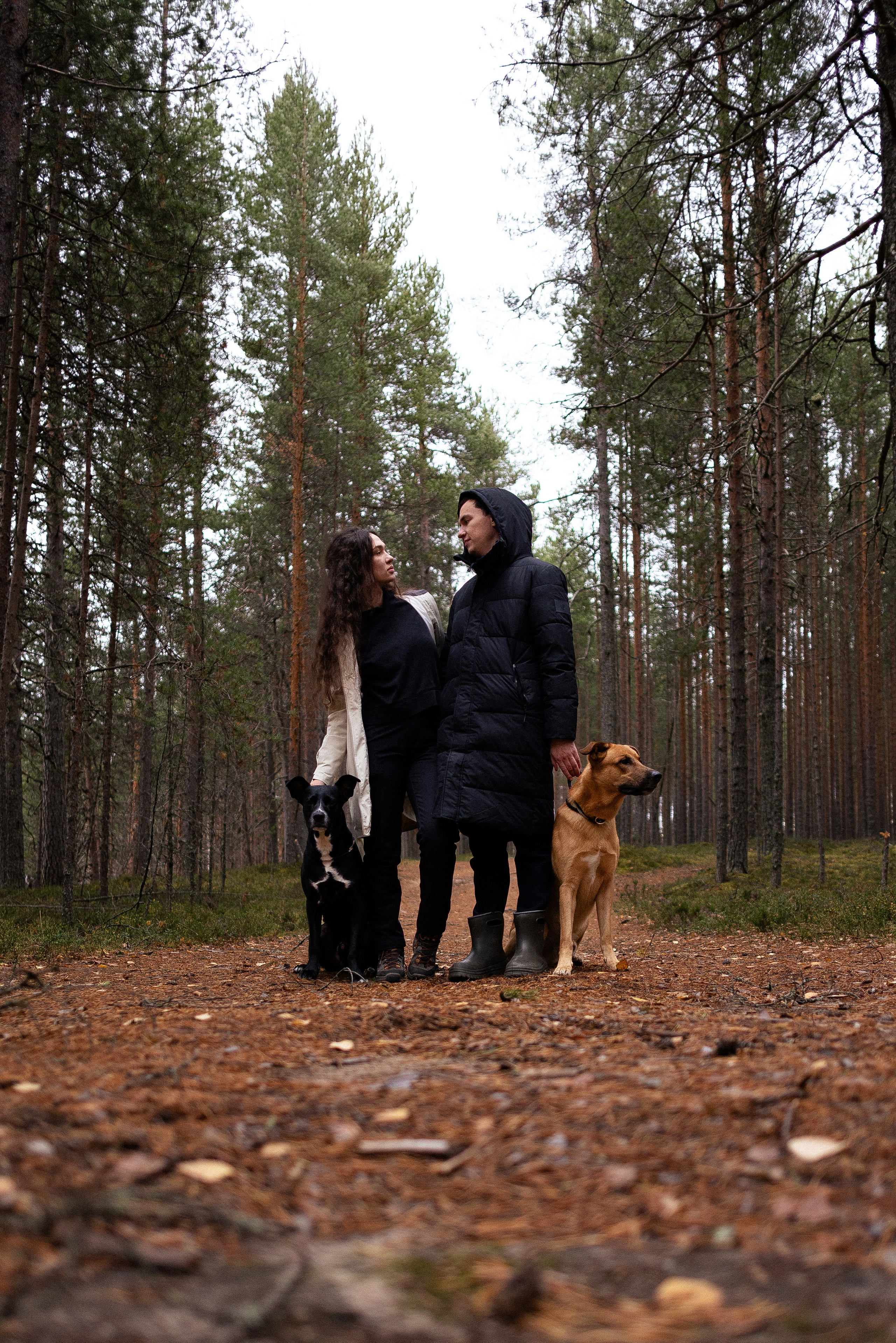 Karelia. Фотограф и видеограф анималист Аганина Дарья