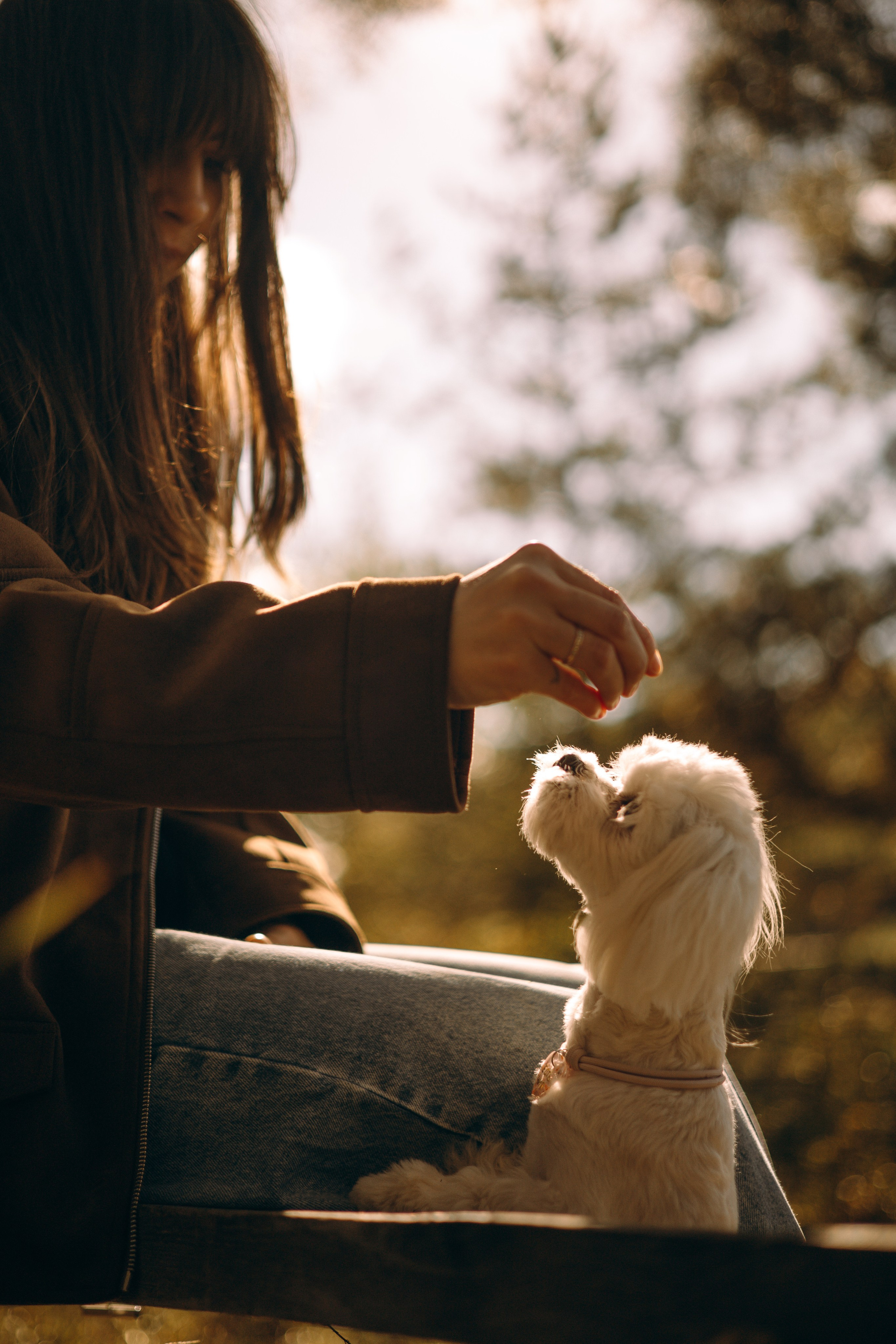 Любовь & Белла. Фотограф — анималист •love-story•|Санкт-Петербург