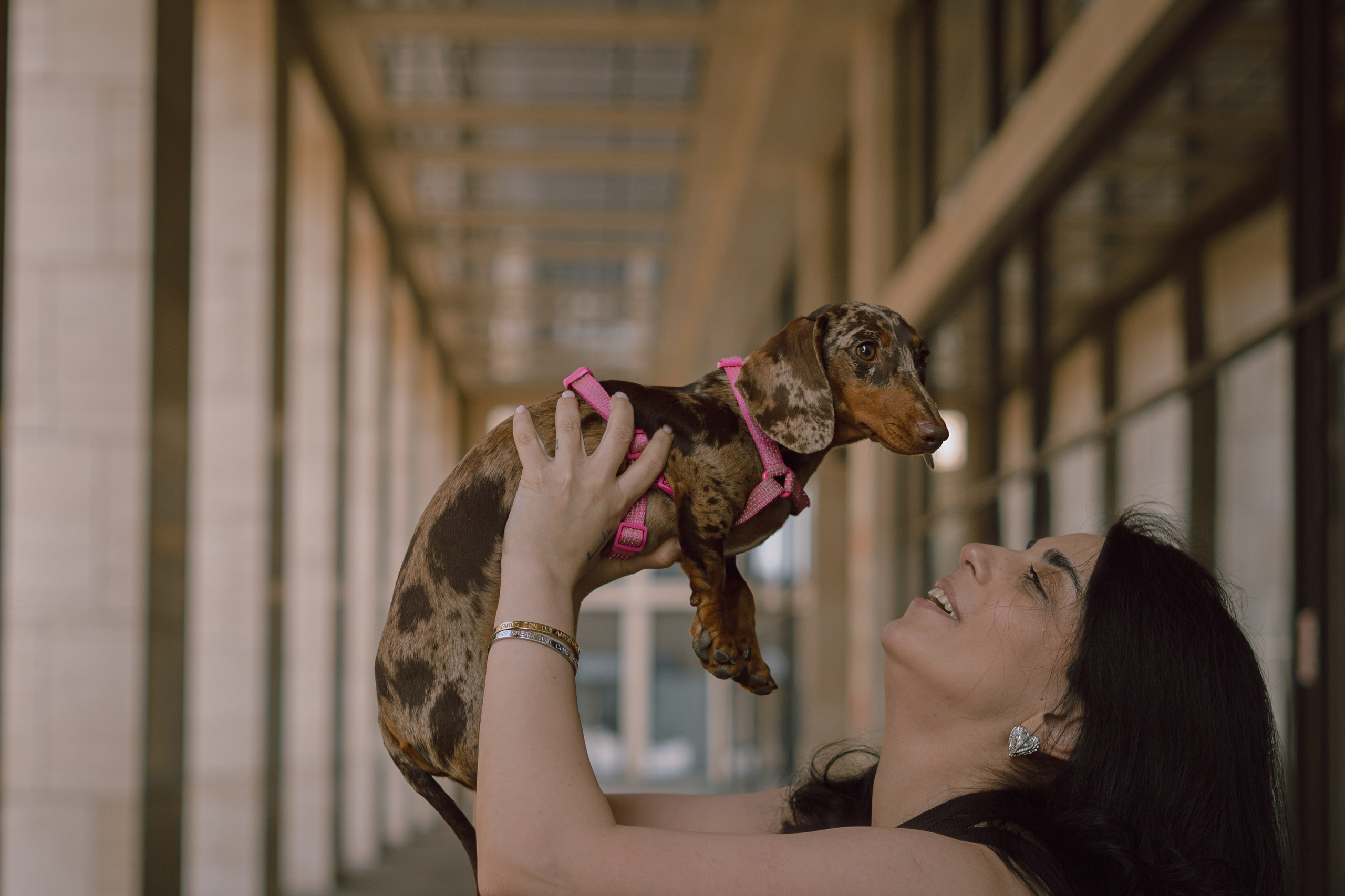 Каринэ и Келли. Фотограф — анималист •love-story•|Санкт-Петербург
