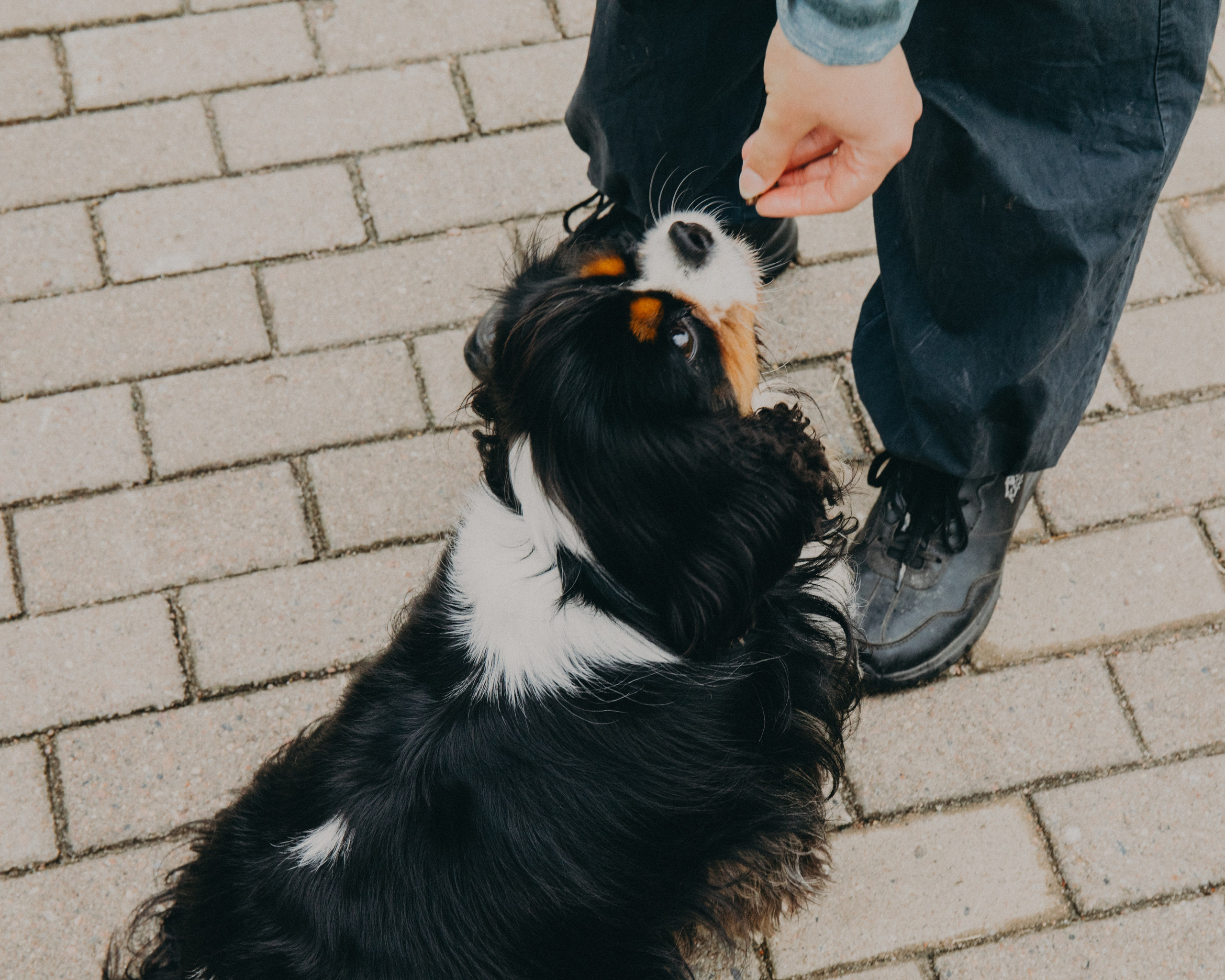 Гилдин. Портретный фотограф Ванинен Анастасия. Санкт-Петербург