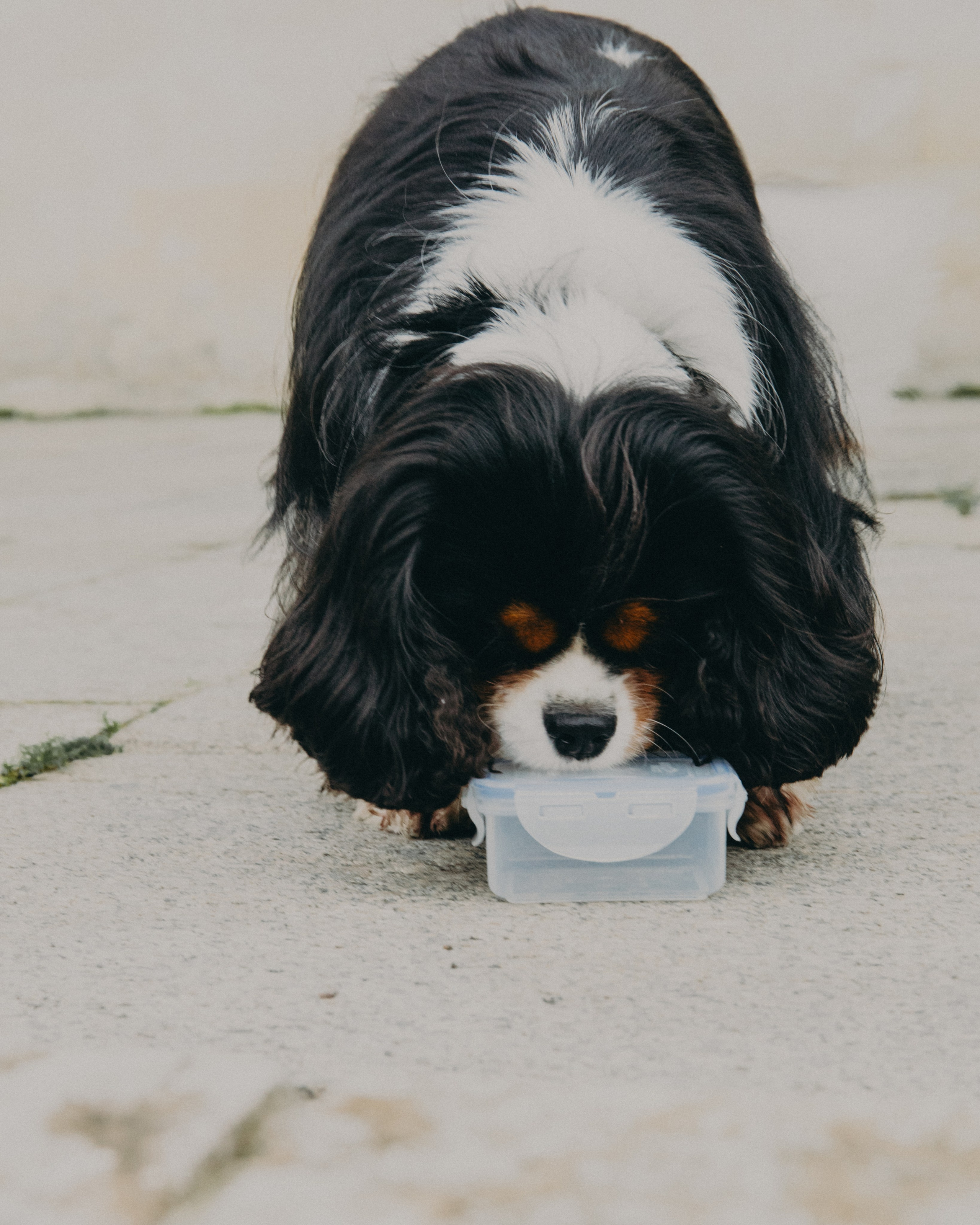 Гилдин. Портретный фотограф Ванинен Анастасия. Санкт-Петербург