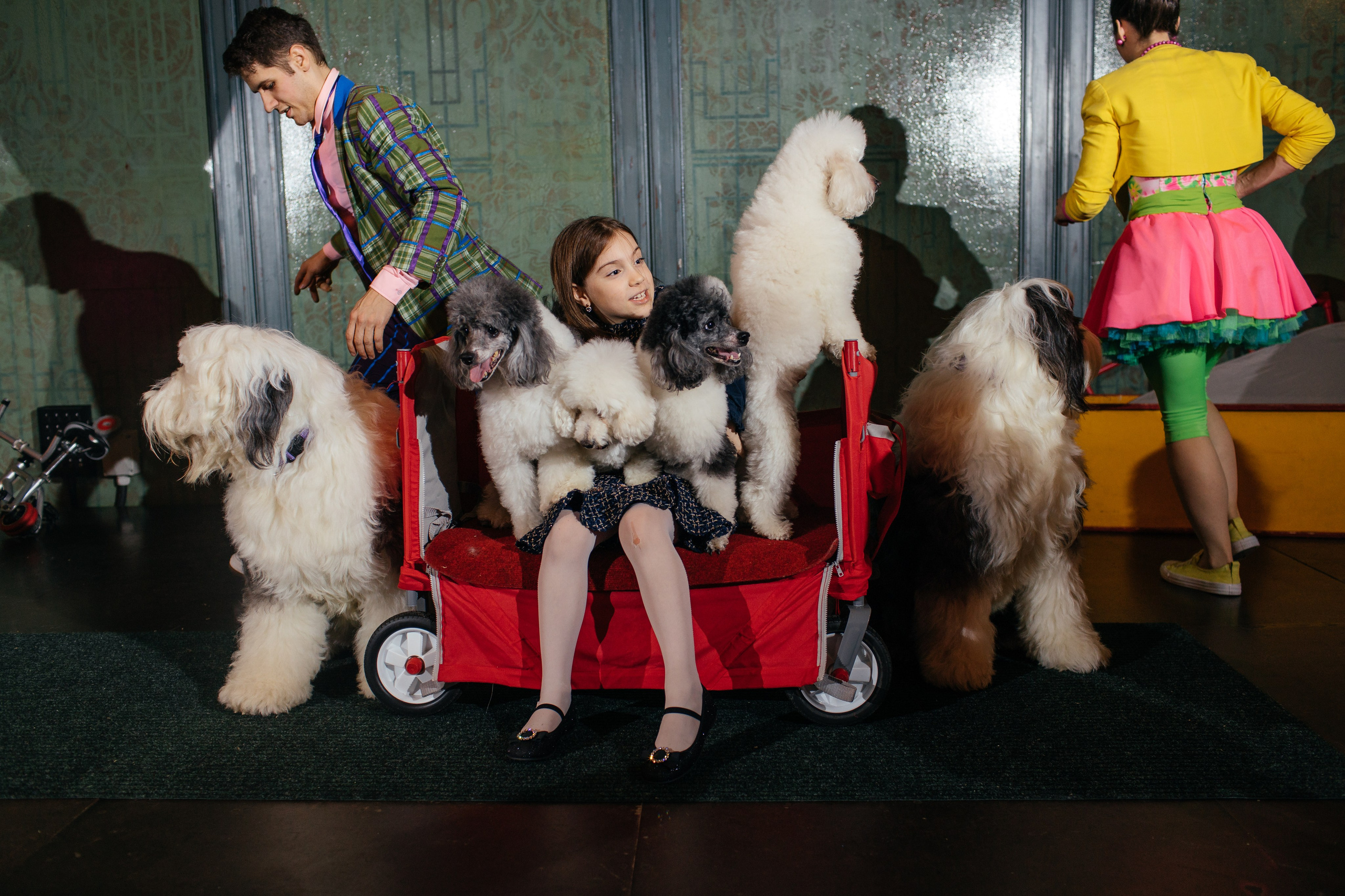 Алине 7 лет. Свадебный и семейный фотограф