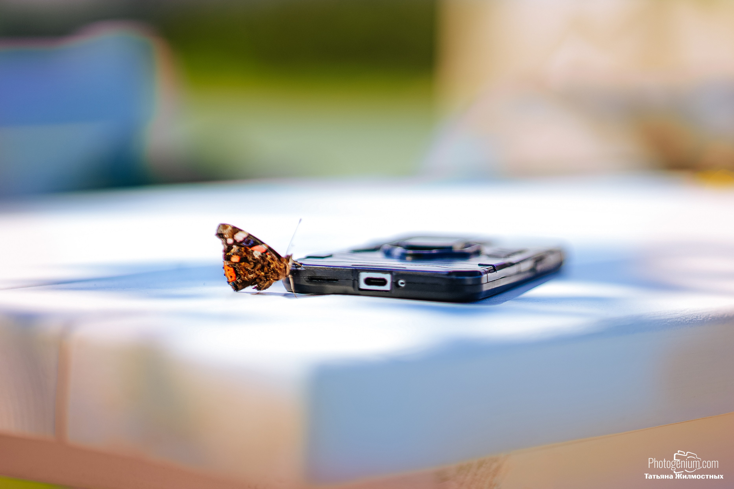 Лавандовое поле 2. Фотограф Нижний Новгород Татьяна Кэйод