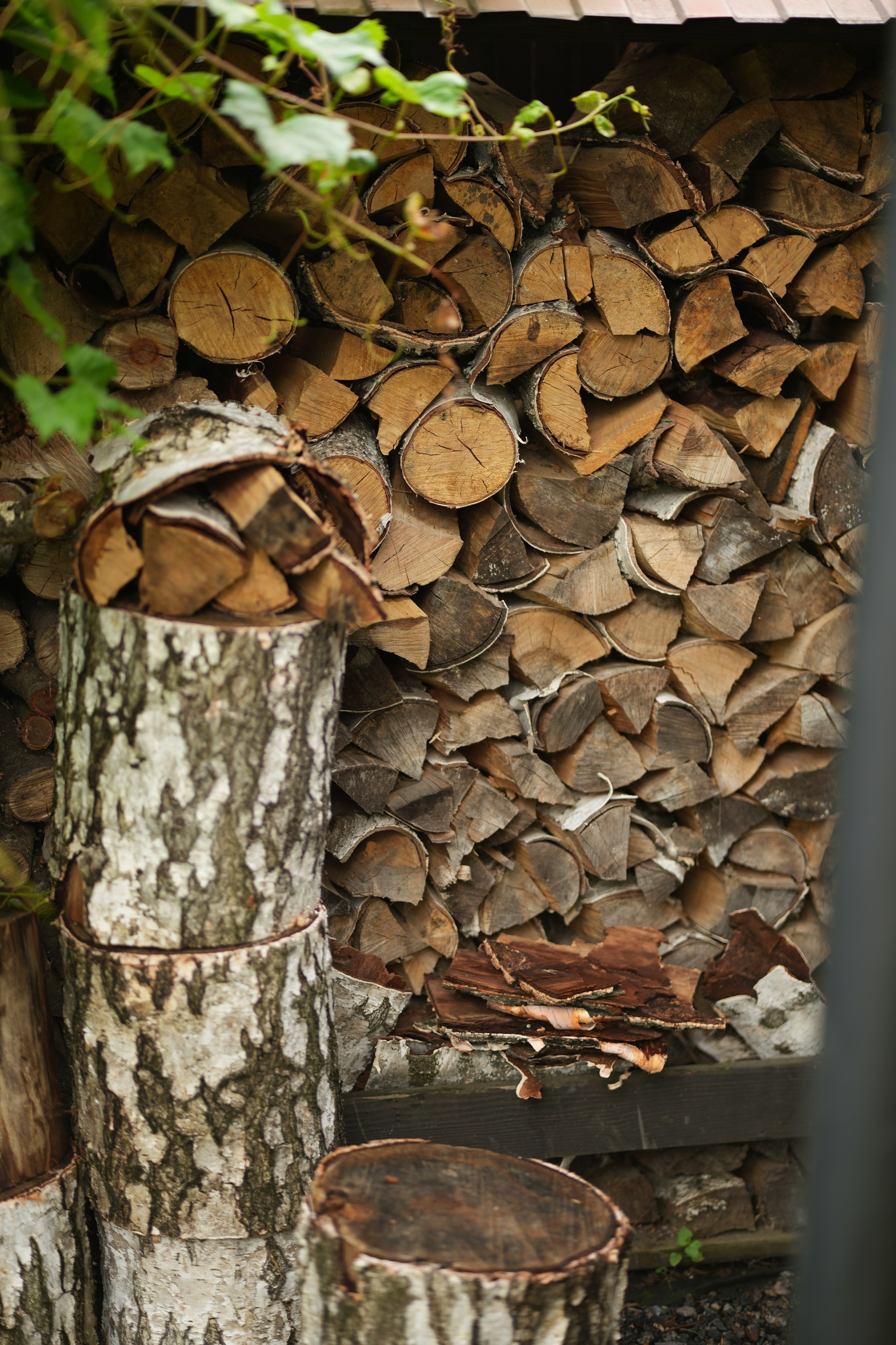 Час 1500 пример фотосессии пакет «ФОТО НА ПАМЯТЬ» (без обработки). Фотограф Нижний Новгород Татьяна Кэйод