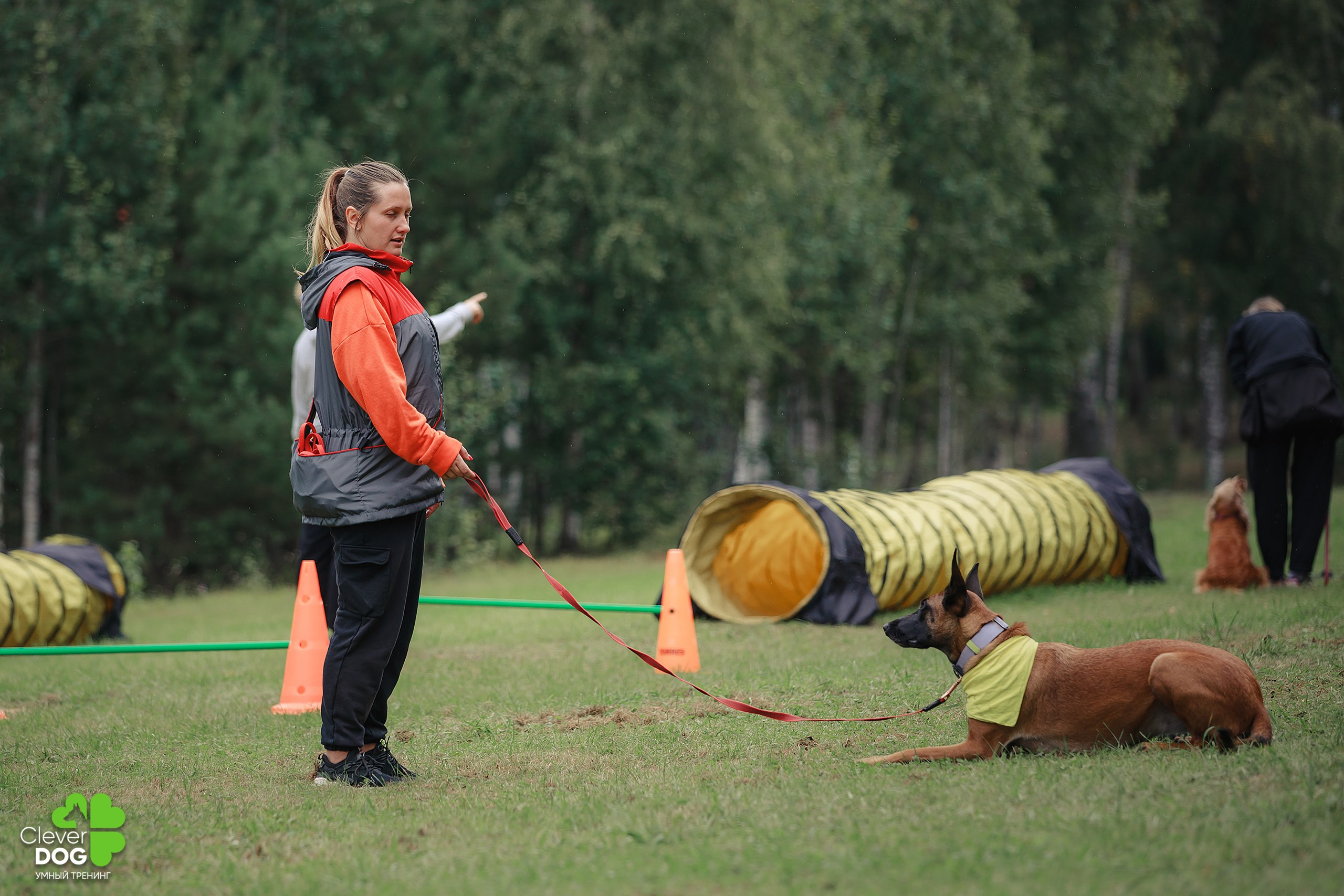 Кинологический лагерь CleverDog, 2024. Фотограф-анималист Mary Mart — Москва, Питер