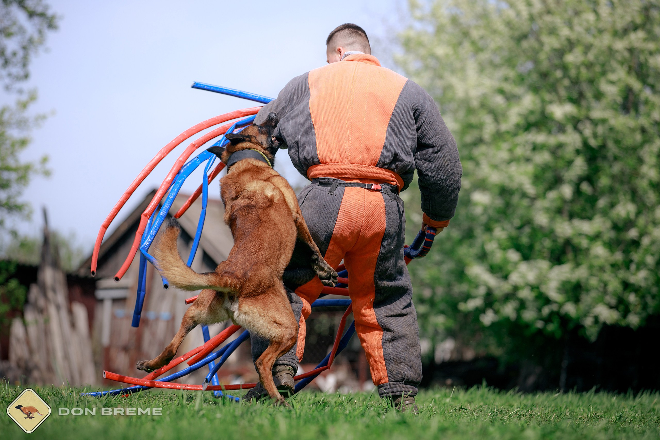 Семинар для фигурантов, день 4. Фотограф-анималист Mary Mart — Москва, Питер