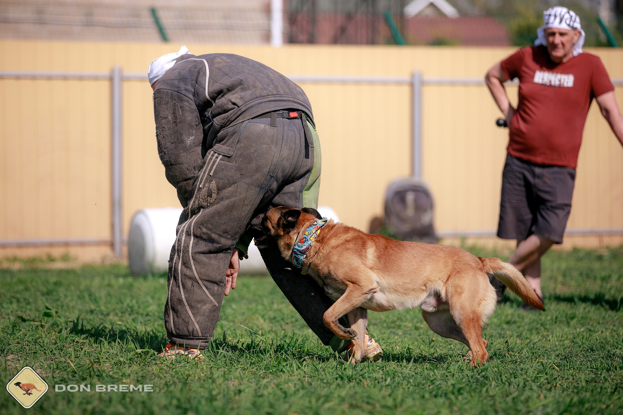 Семинар для фигурантов, день 4. Фотограф-анималист Mary Mart — Москва, Питер