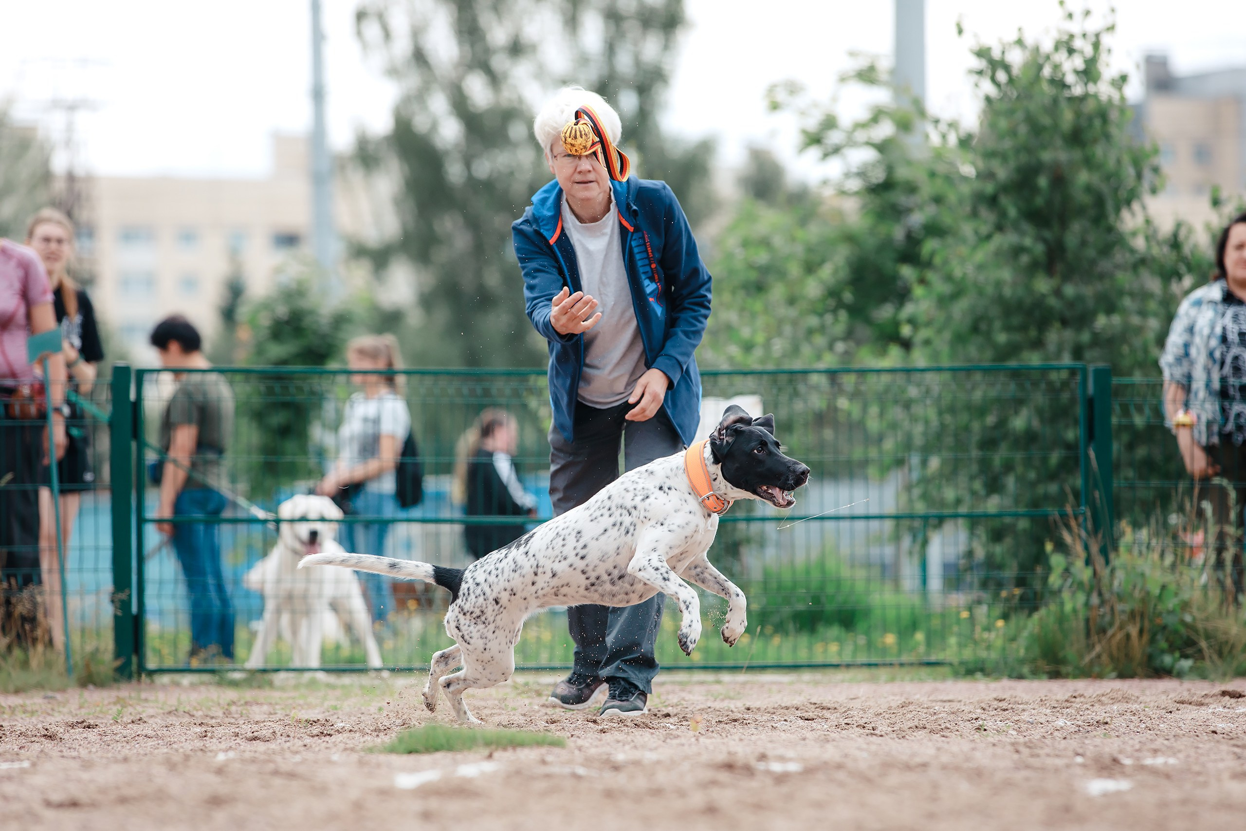 Питч&Гоу + веселые старты. Фотограф-анималист Mary Mart — Москва, Питер