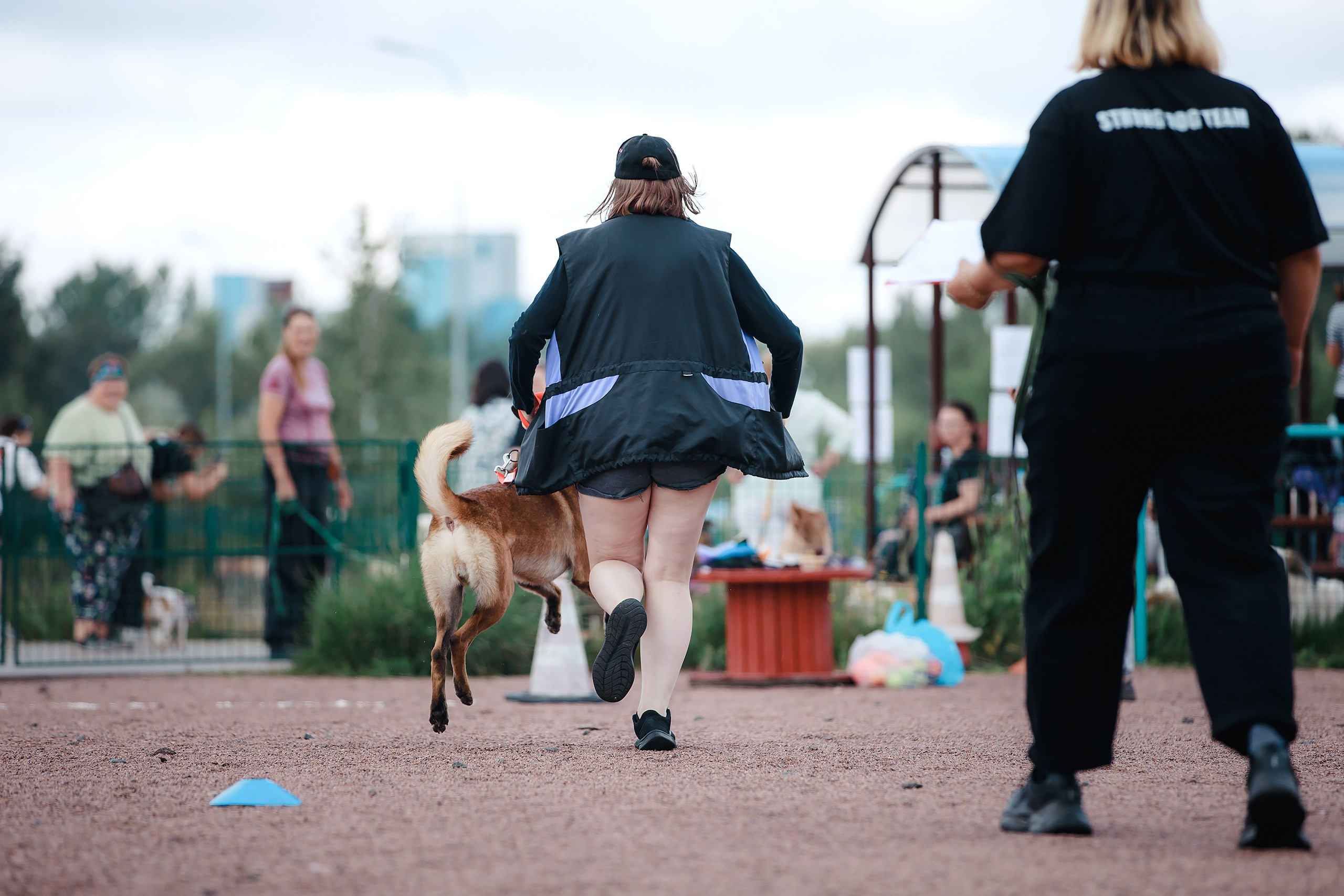 Питч&Гоу + веселые старты. Фотограф-анималист Mary Mart — Москва, Питер