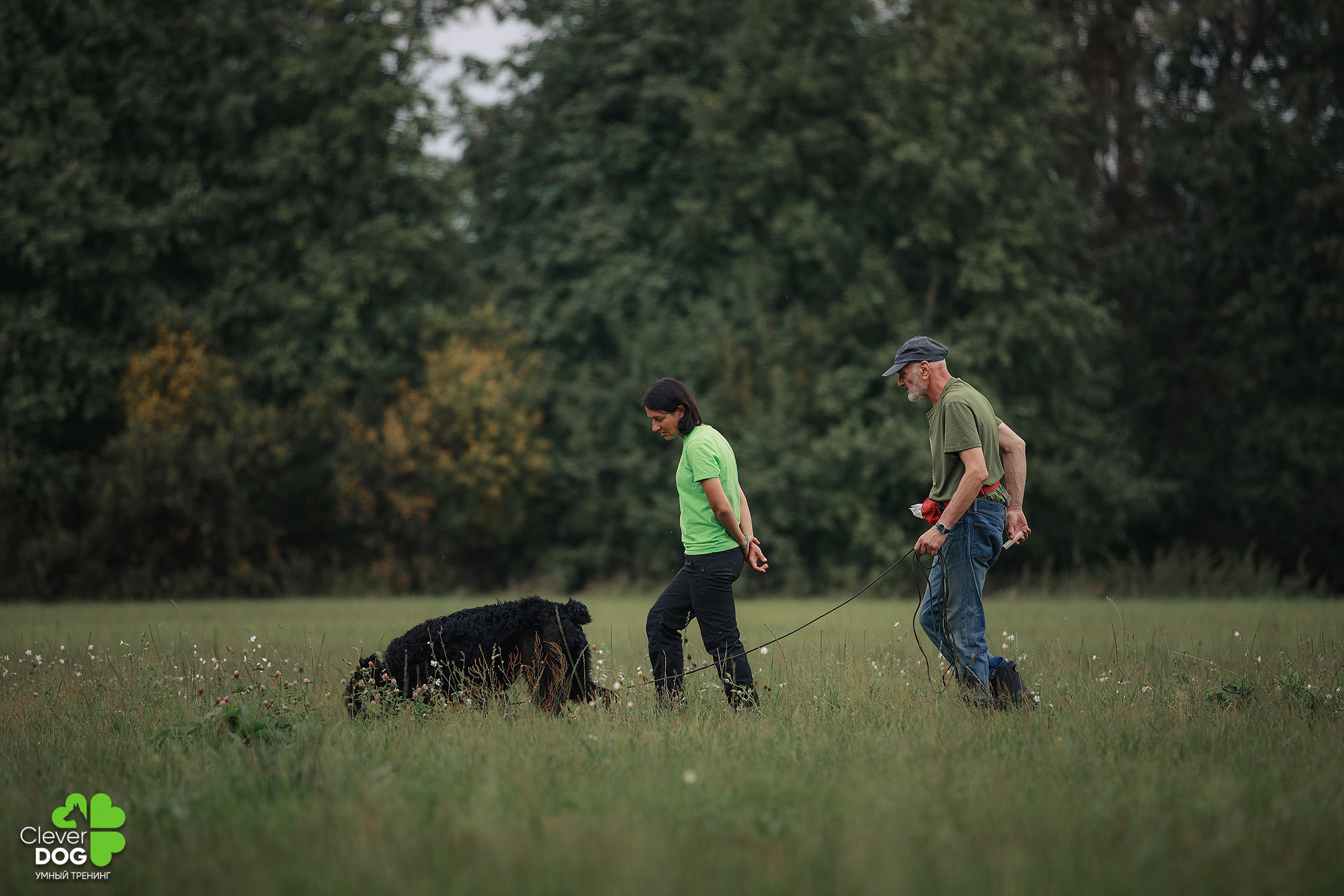 Кинологический лагерь CleverDog, 2024. Фотограф-анималист Mary Mart — Москва, Питер