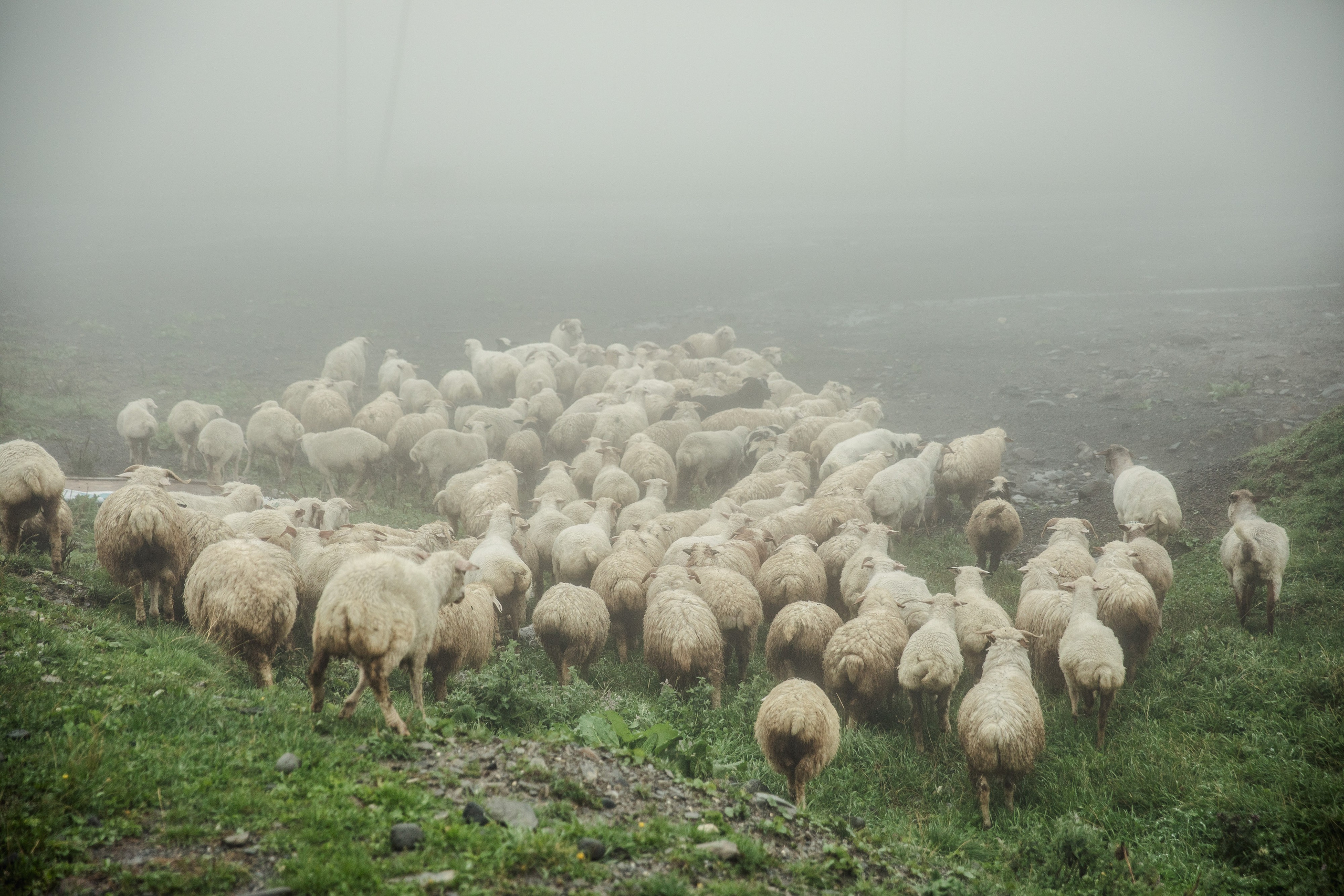 Александр & Ирина. Агентство по организации мероприятий