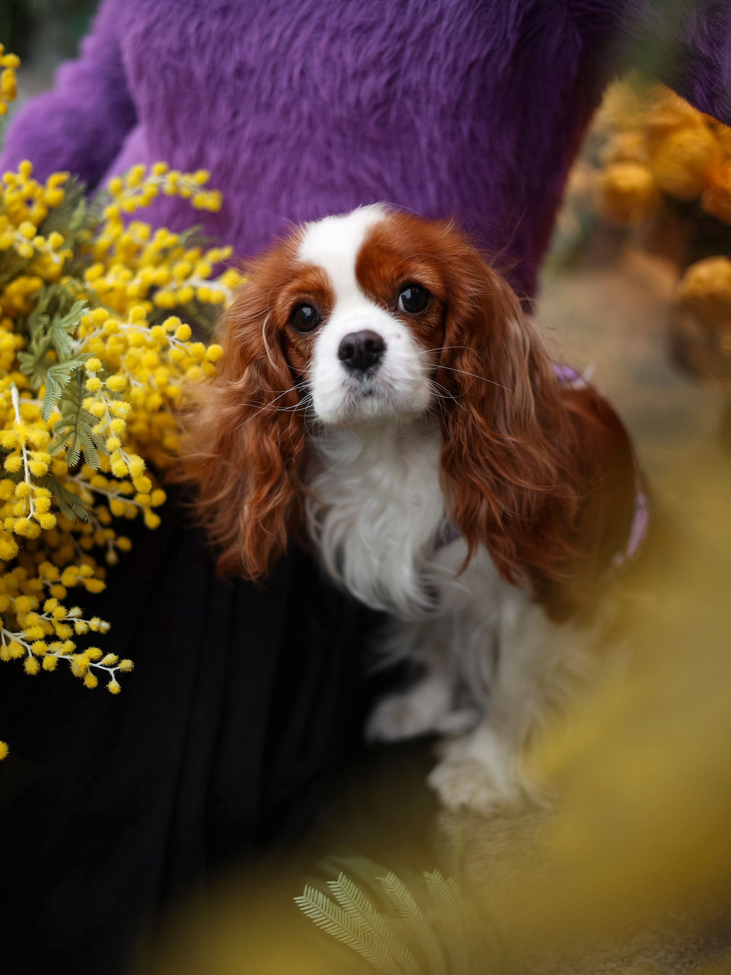 Индивидуальные улица. Фотограф Санкт-Петербург