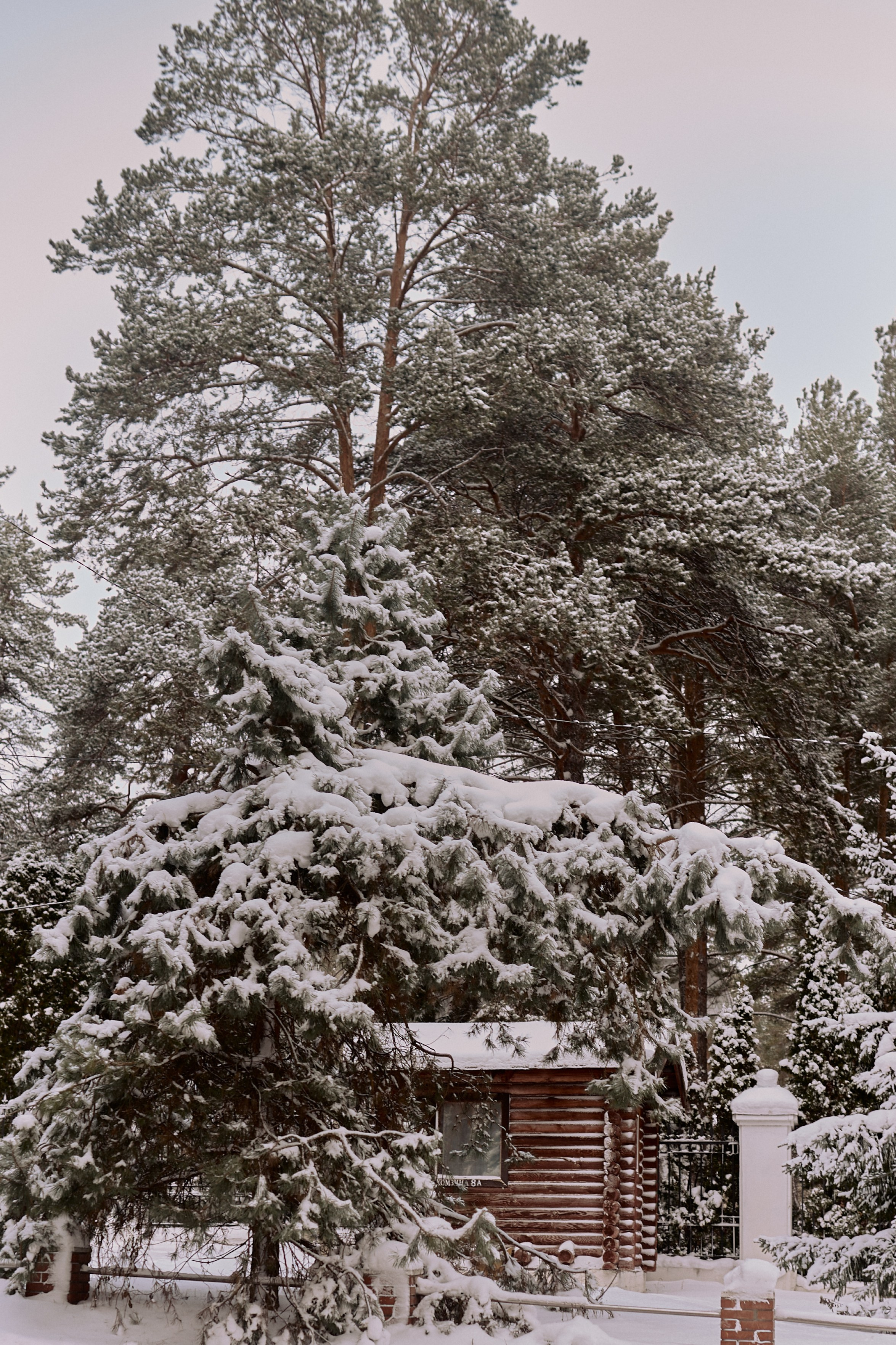 Паша, Света и Марк на зимней прогулке. Семейный и свадебный lifestyle-фотограф в Москве Мария Петрова