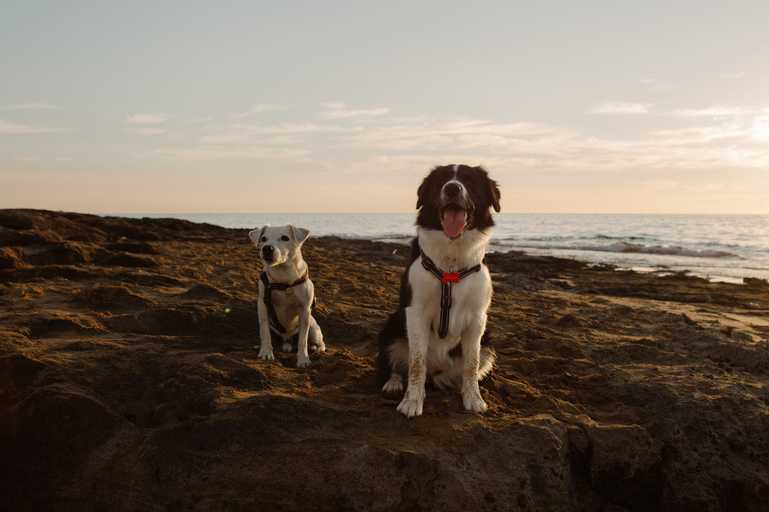 Melymko fam. Portrait, family and pet photographer in Cyprus, Ksenia Bourdelle