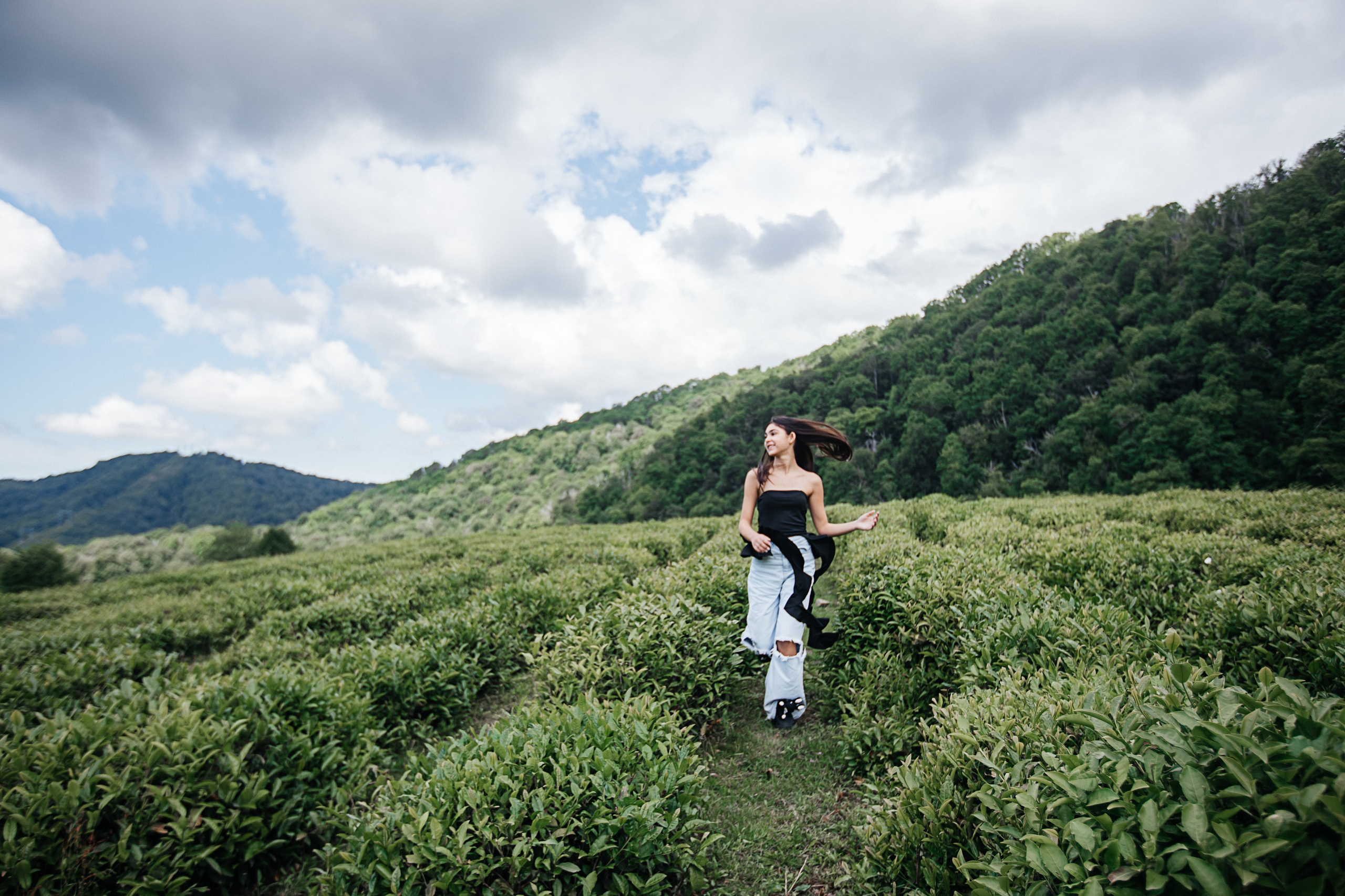 Tea plantation. Efimova Model Agency