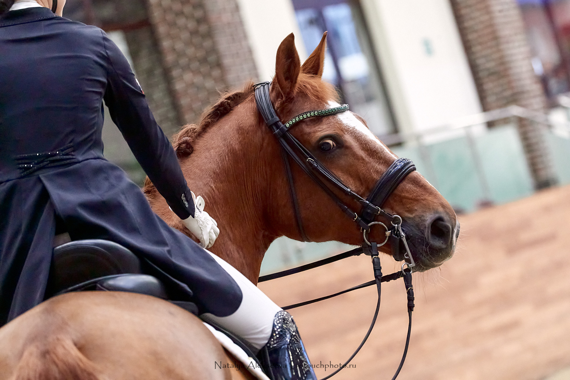 CDI-3*/2*/Ch/J/Y, Maxima Stables | 11'2020. Репортажный фотограф и ретушер в Москве Наталья Алексеева